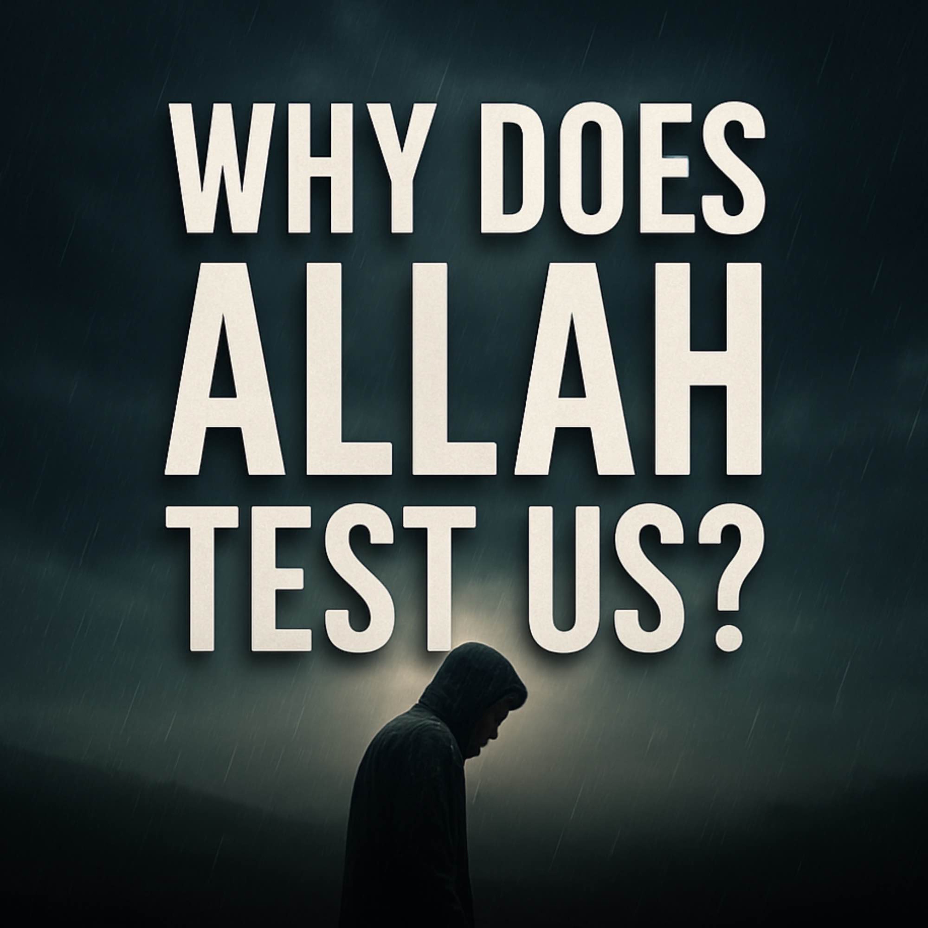 Why Does Allah Test Us? | Assim Al Hakeem