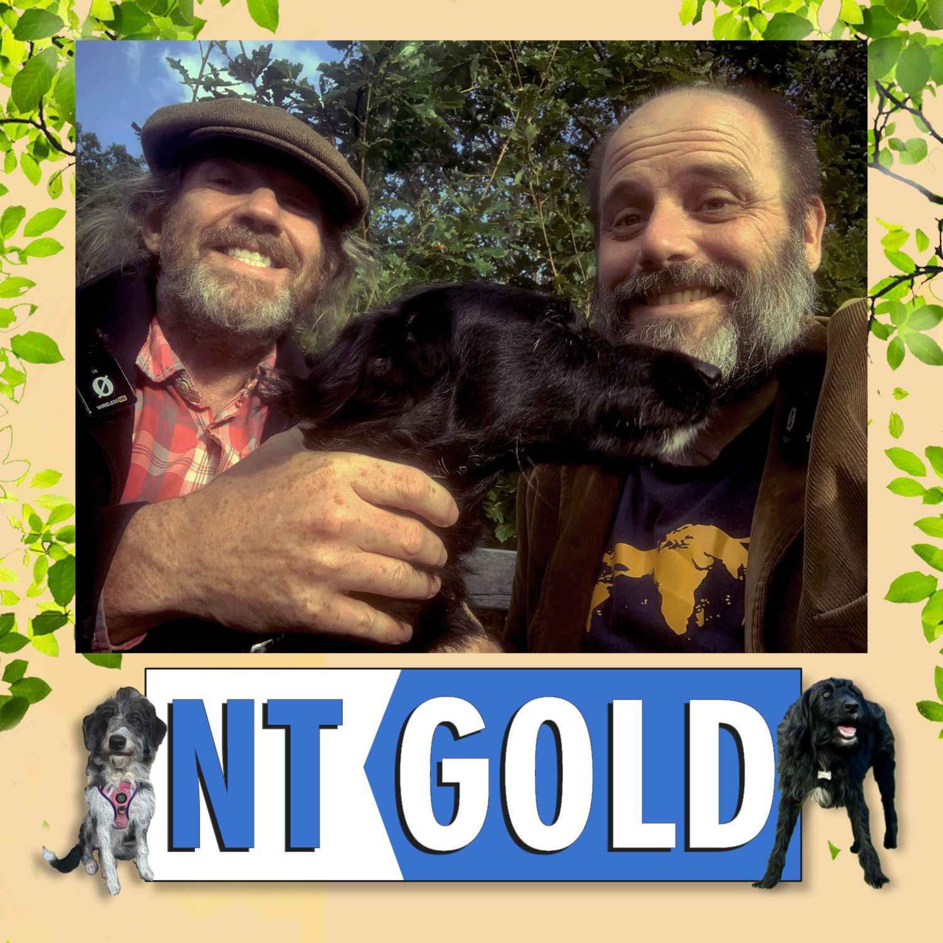 NT Gold 35- "War Prigs"