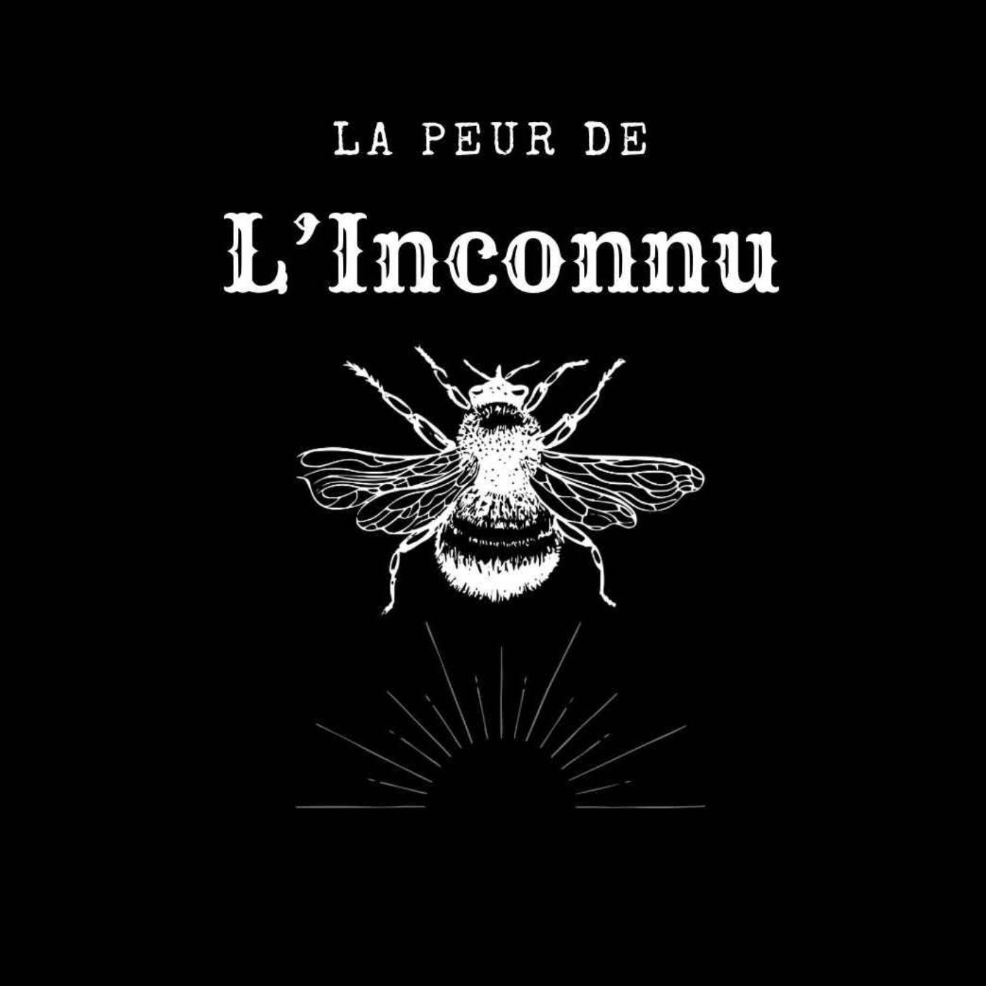 La Forêt d’Aokigahara