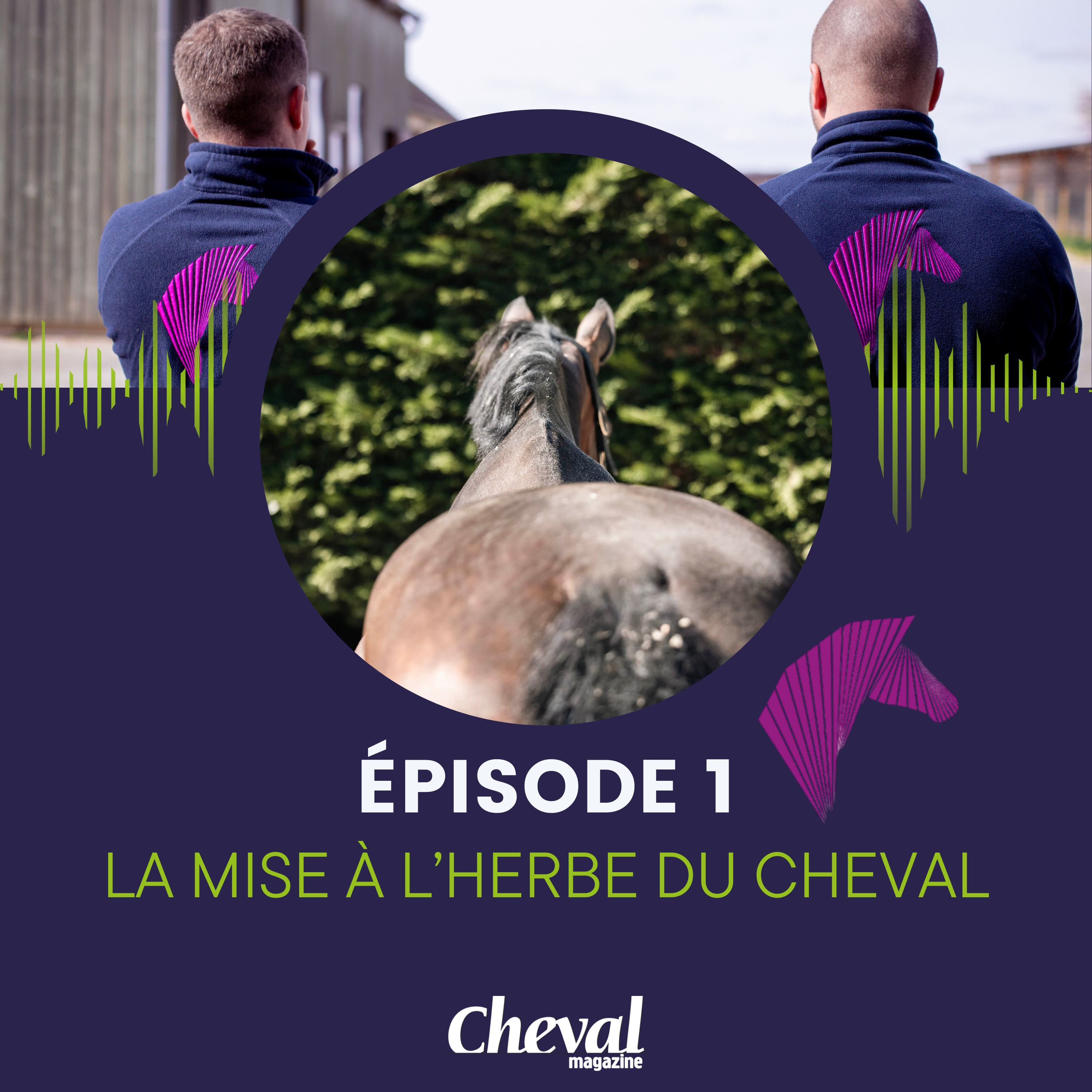#1 - La mise à l'herbe du cheval