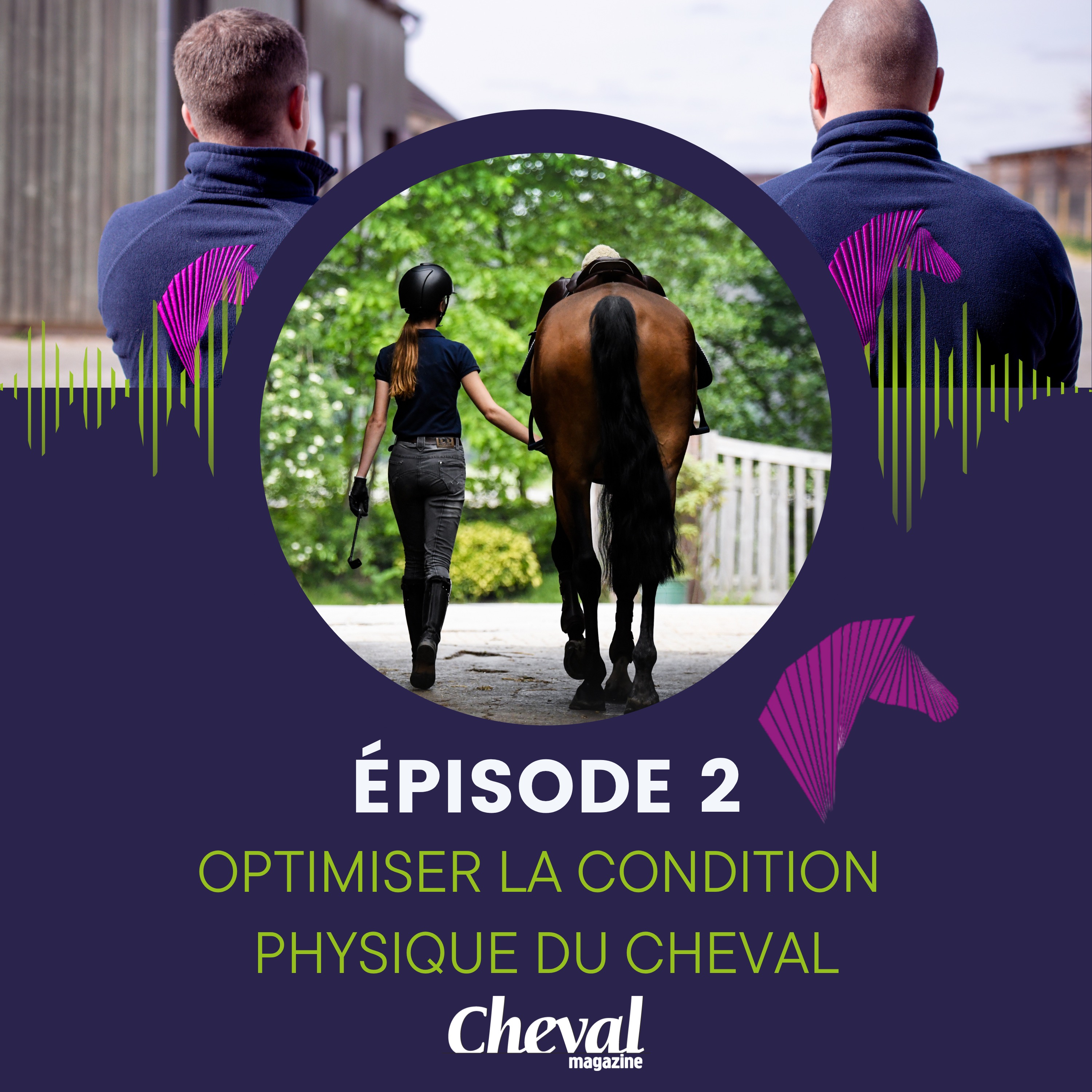 #2 - Optimiser la condition physique du cheval en vue d'une échéance