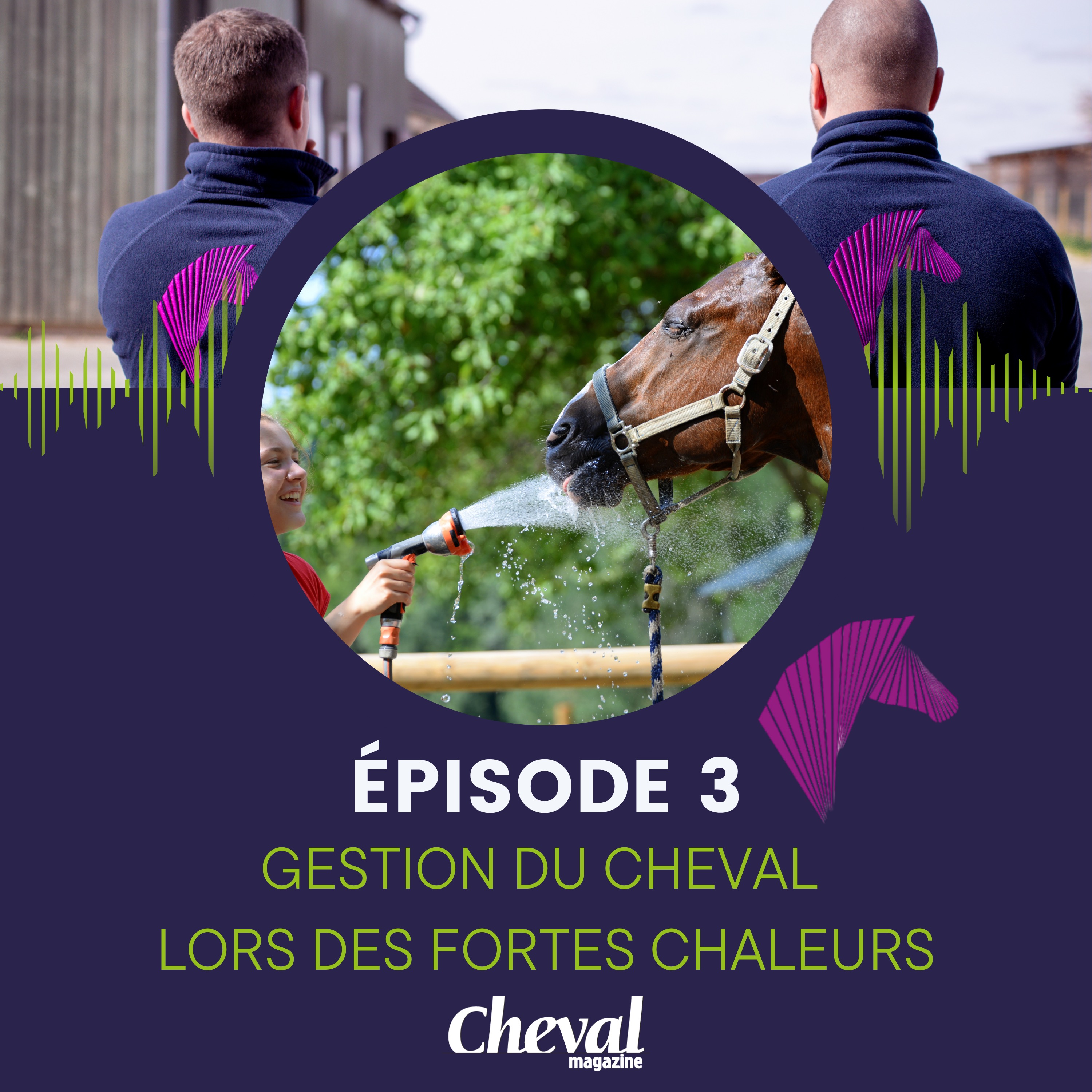 #3 - Gestion du cheval lors des fortes chaleurs