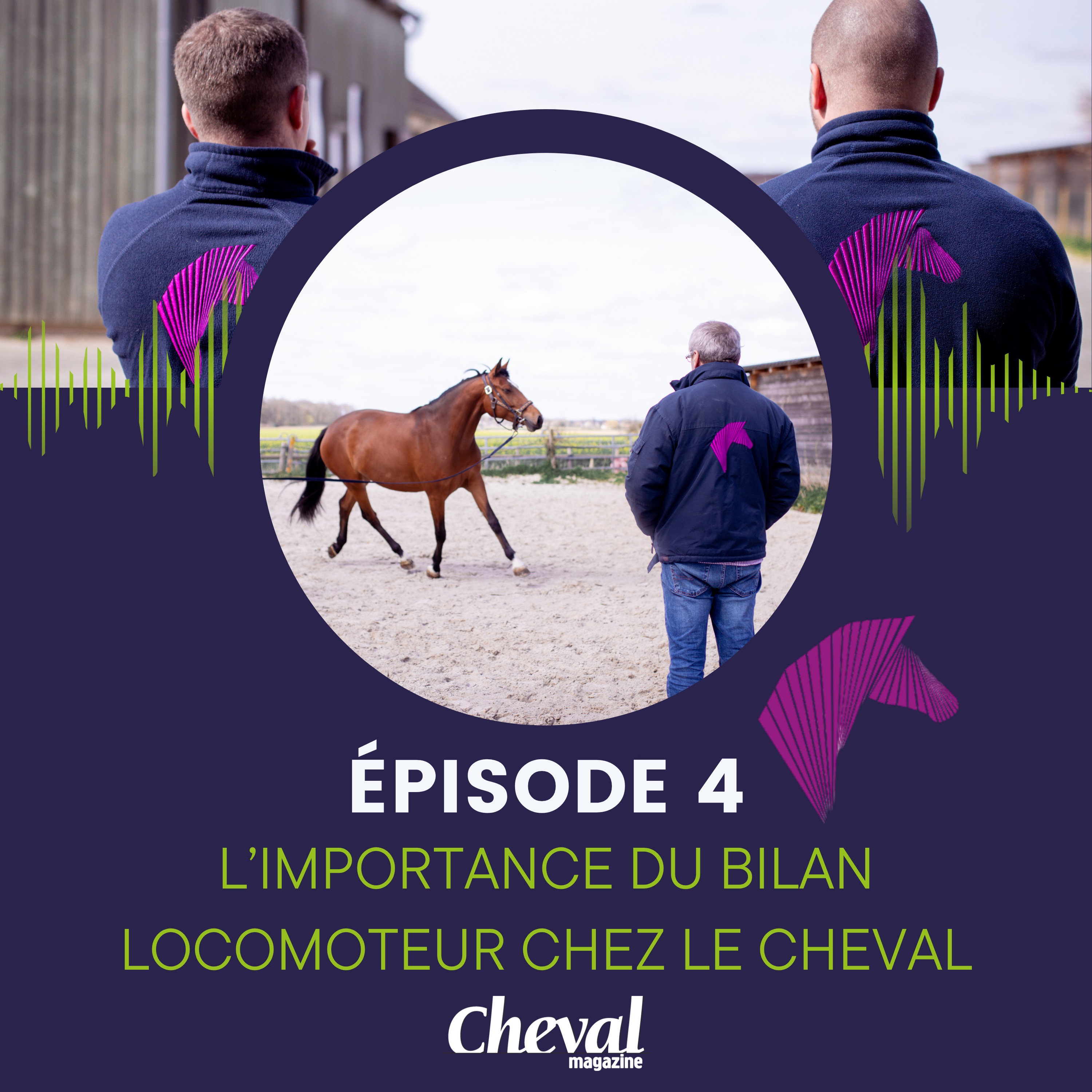 #4 - L'importance du bilan locomoteur chez le cheval
