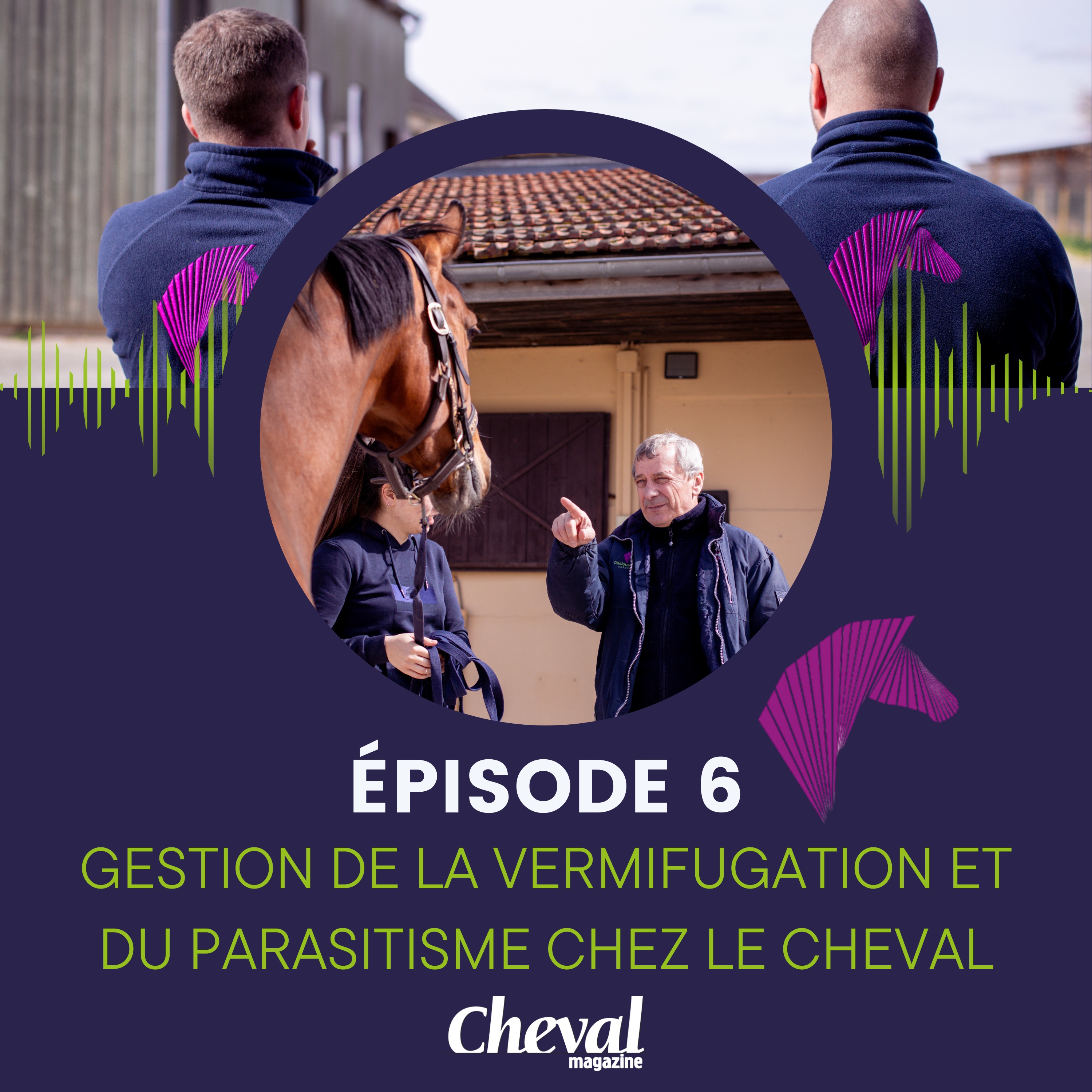 #6 - Gestion de la vermifugation et du parasitisme chez le cheval