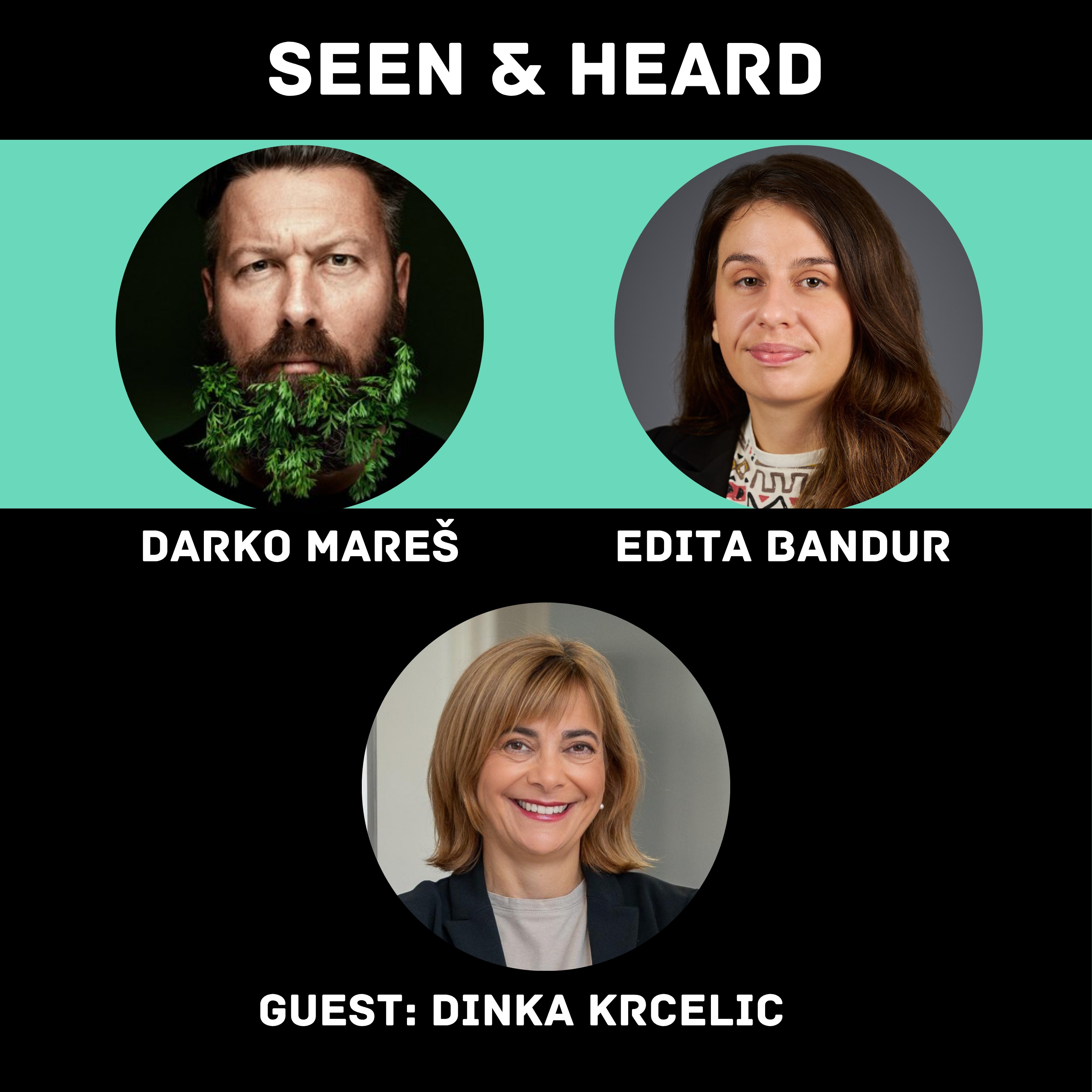Communication skills for European markets: Dinka Krcelic