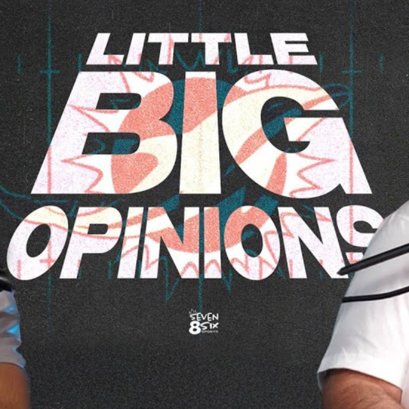 Little Big Opinions