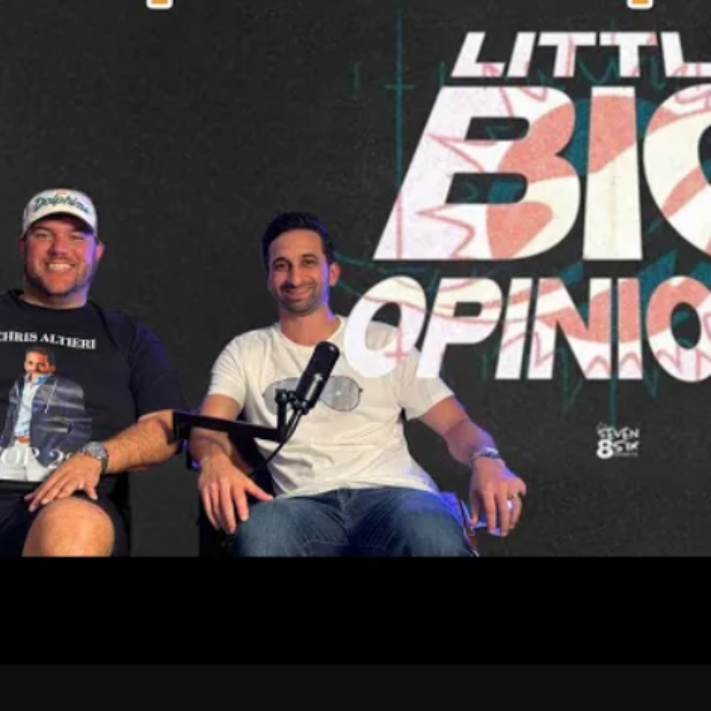 Little Big Opinions