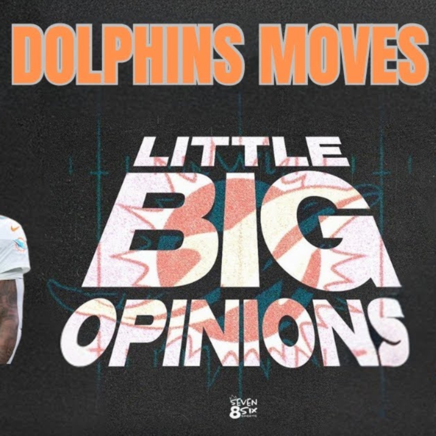 Little Big Opinions