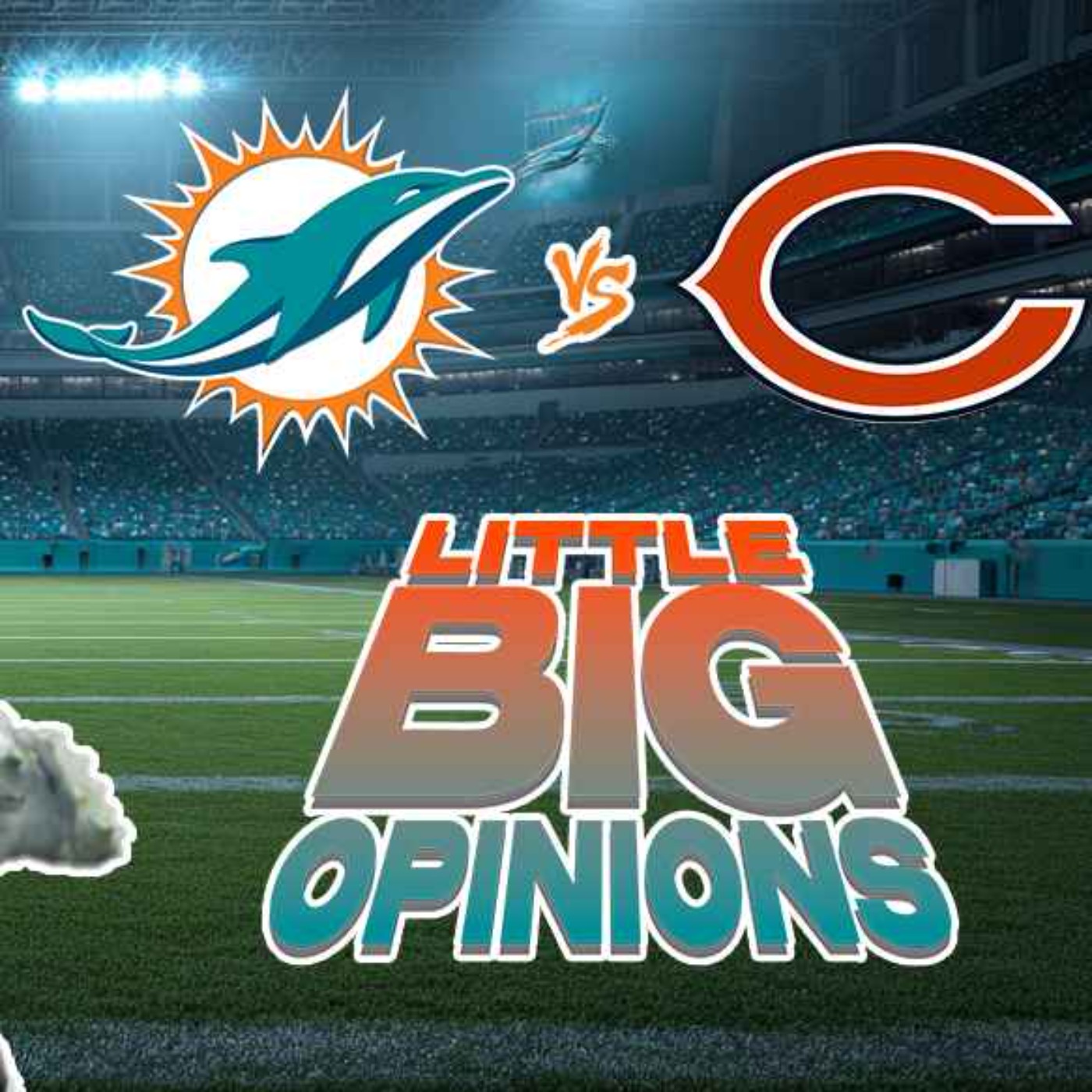 Little Big Opinions