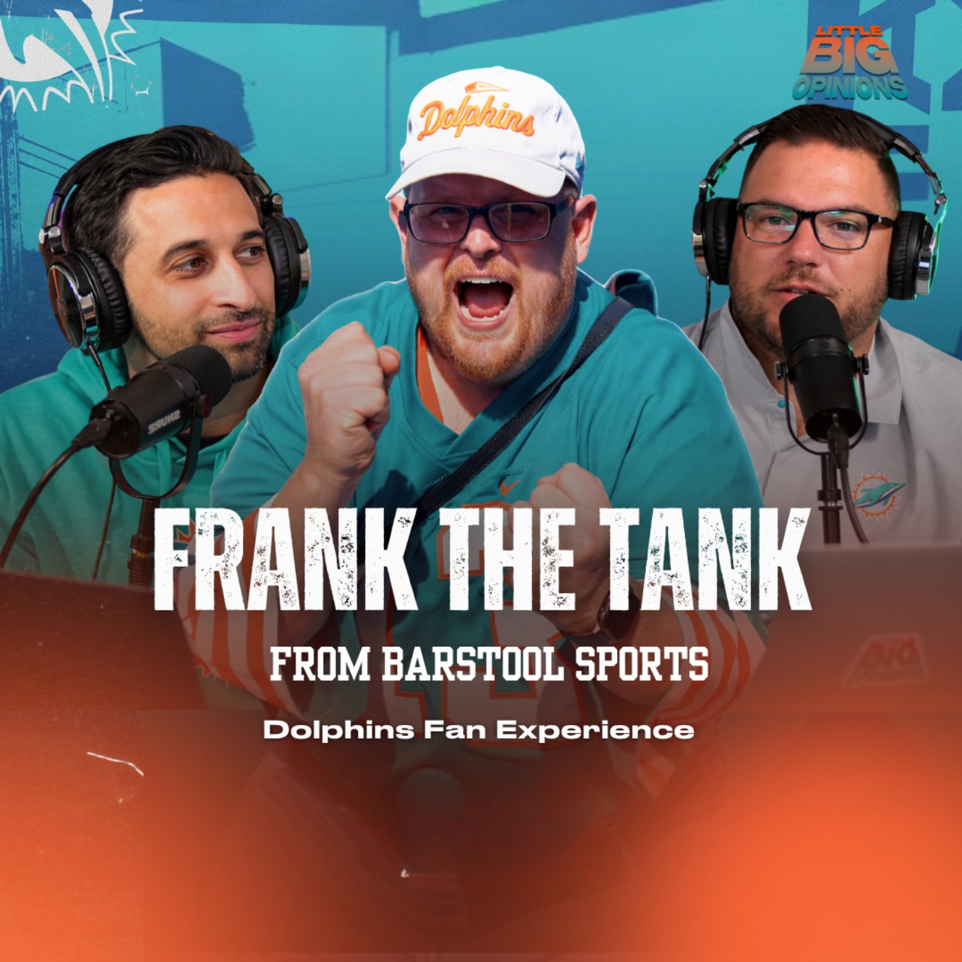 Frank the Tank GOES OFF on Dolphins episode artwork