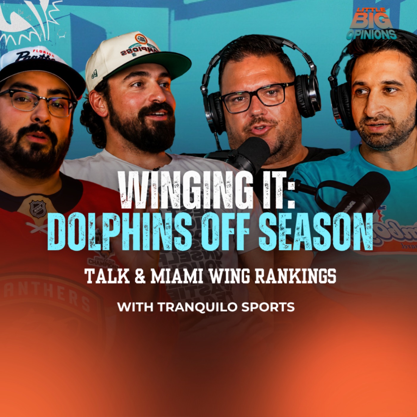 Winging it: Dolphins Off season Talk & Miami Wing Rankings episode artwork