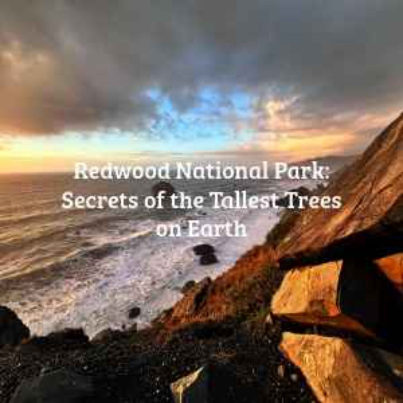 Redwood National Park