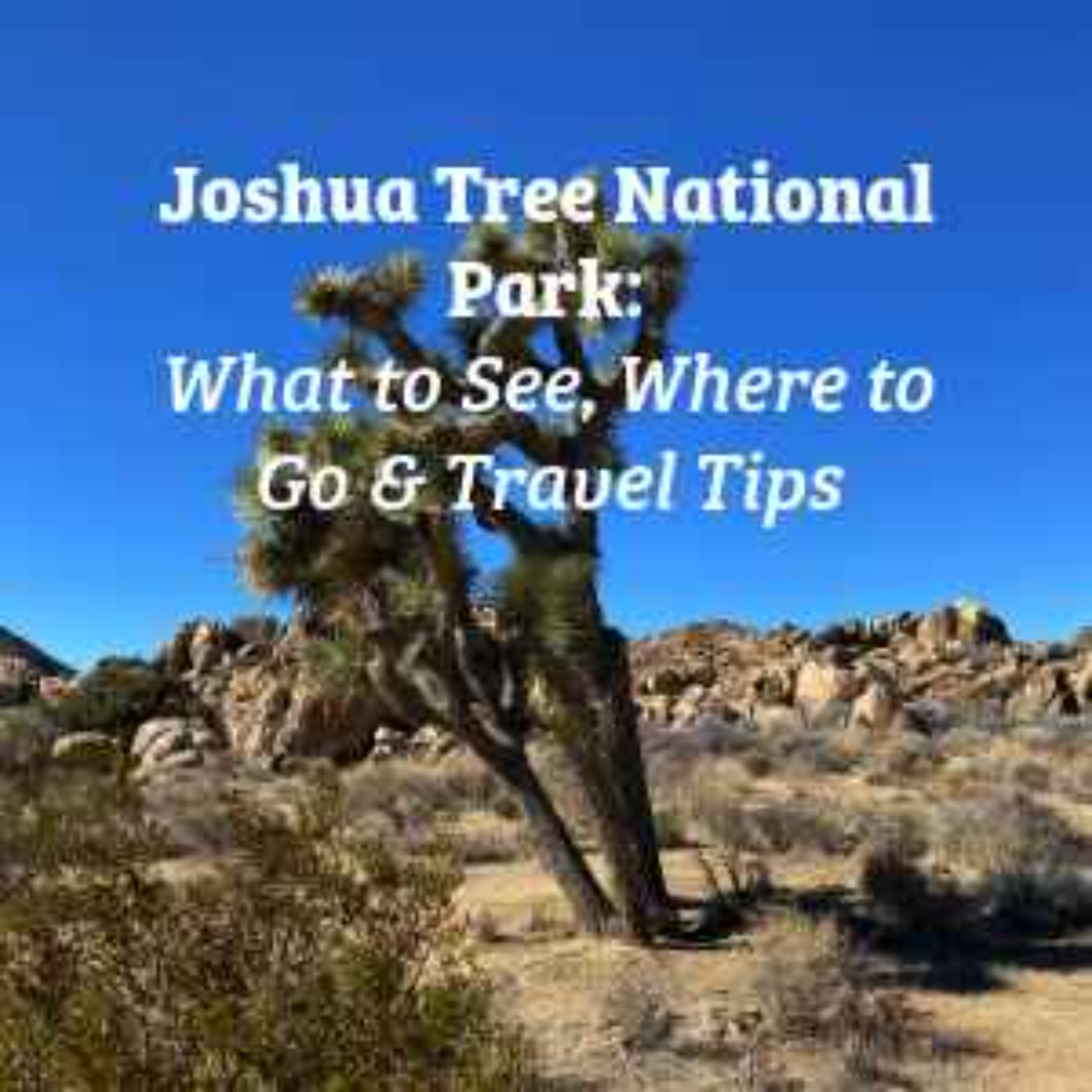 Joshua Tree National Park episode artwork