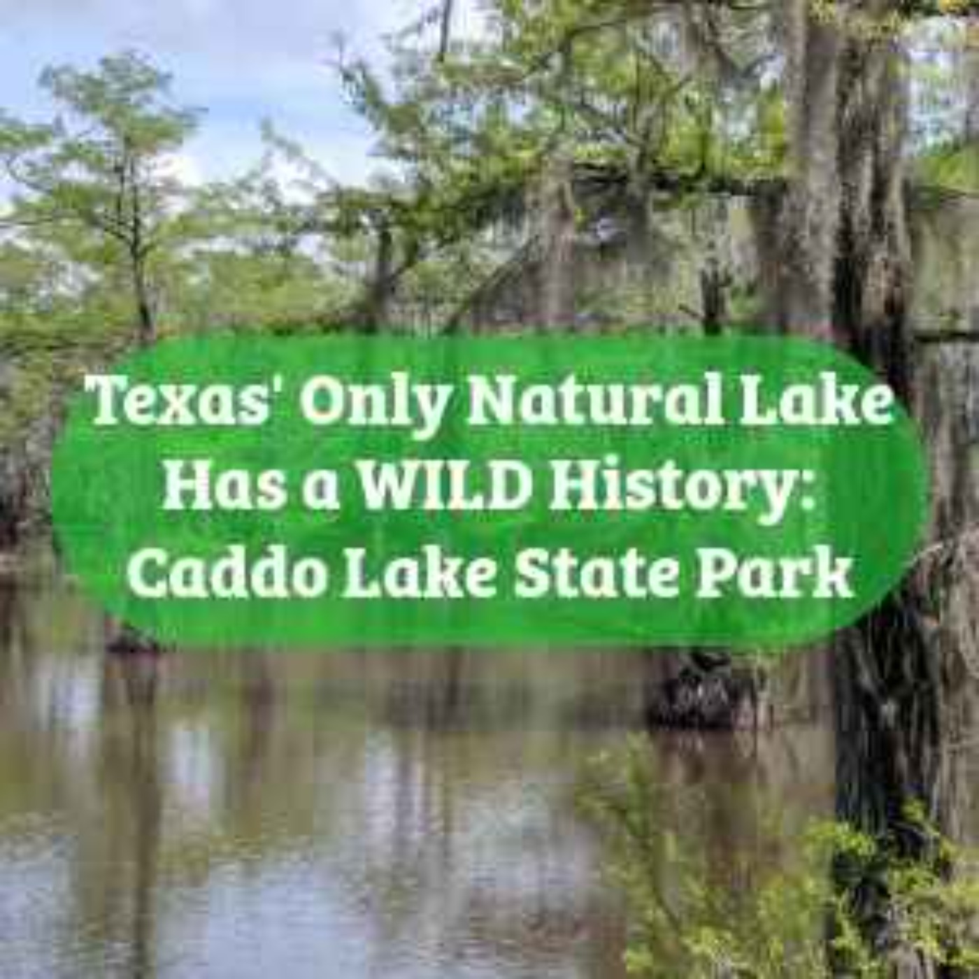 Texas' Only Natural Lake Has a WILD History episode artwork