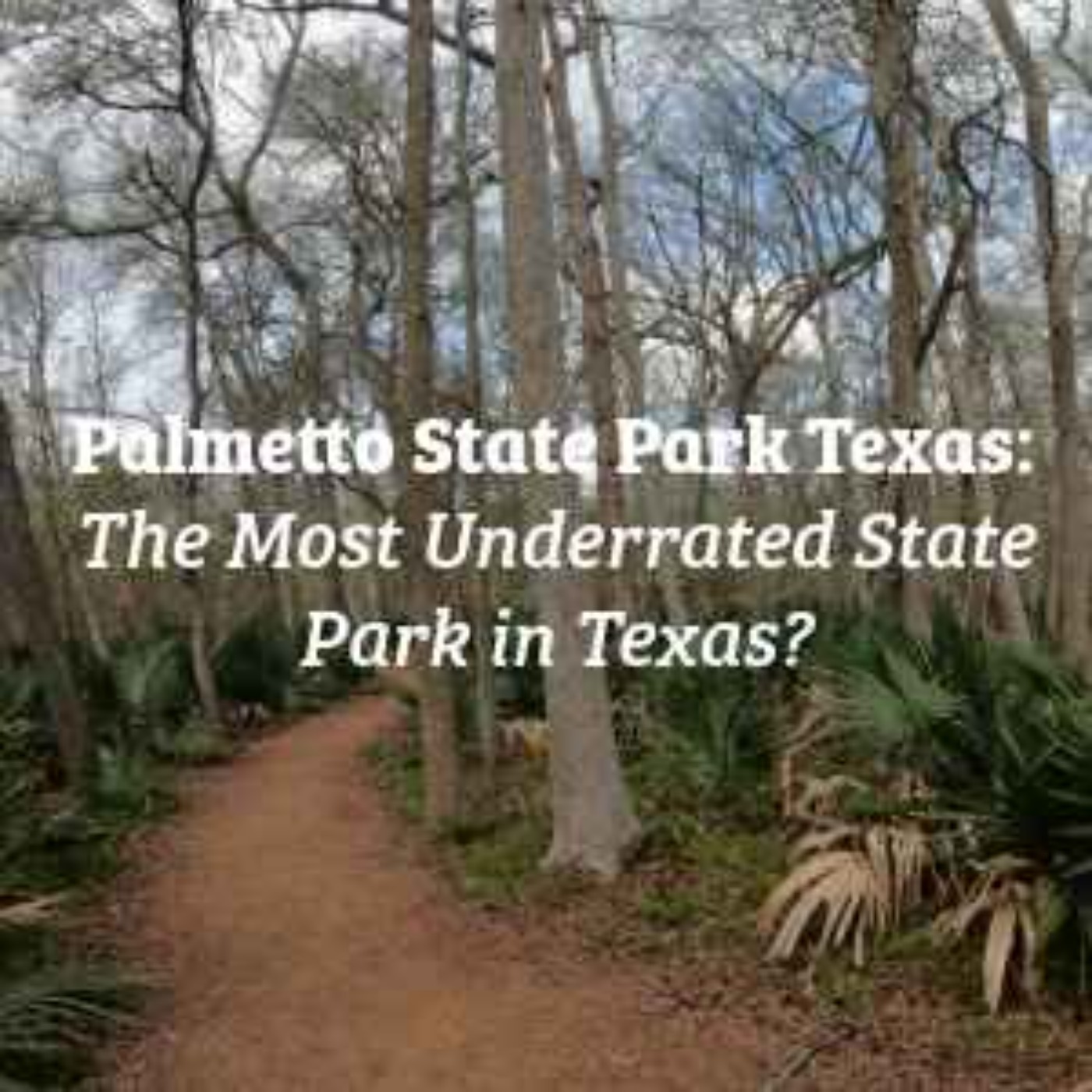 Palmetto State Park Texas: The Most Underrated State Park in Texas? episode artwork