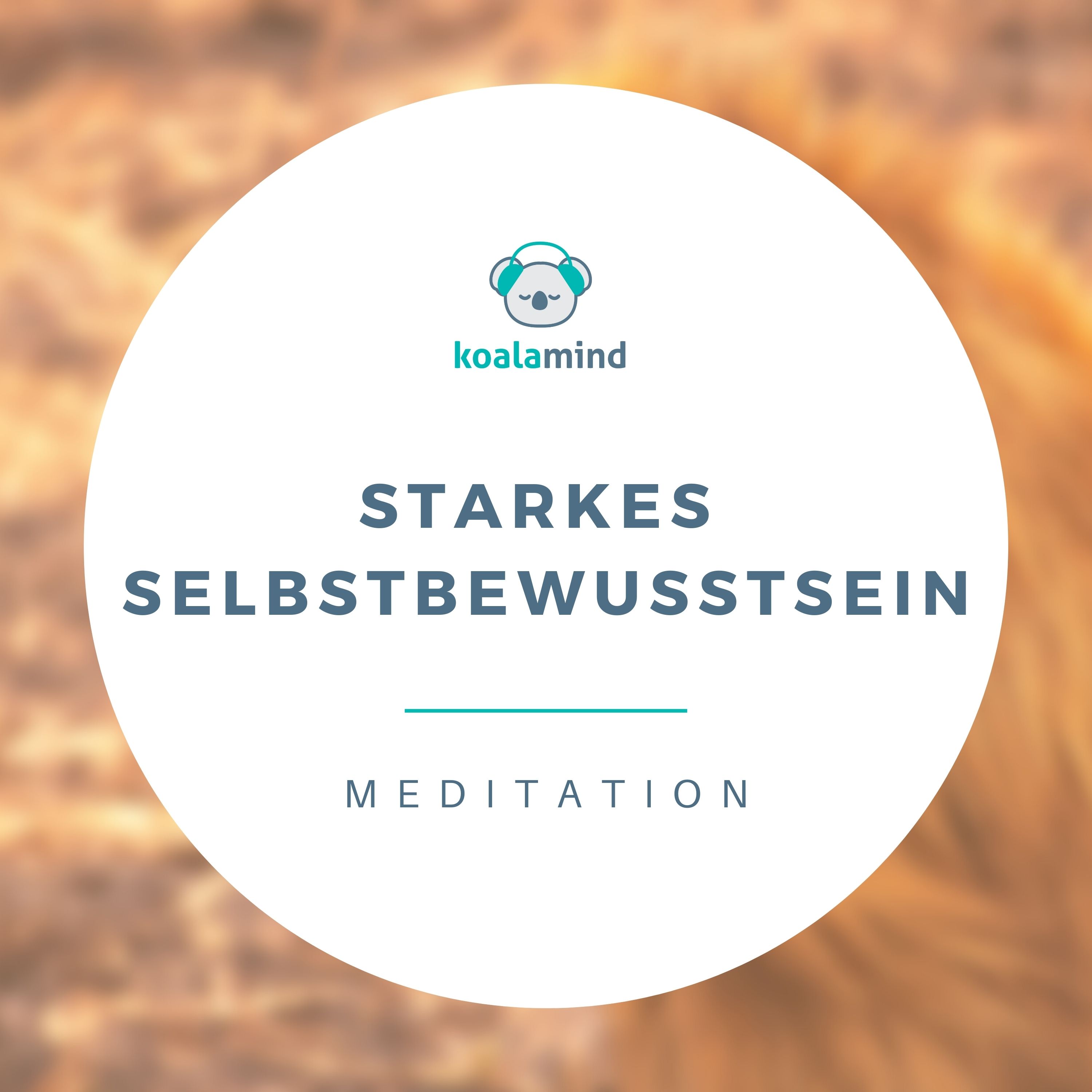 Koala Mind - Meditation & Achtsamkeit