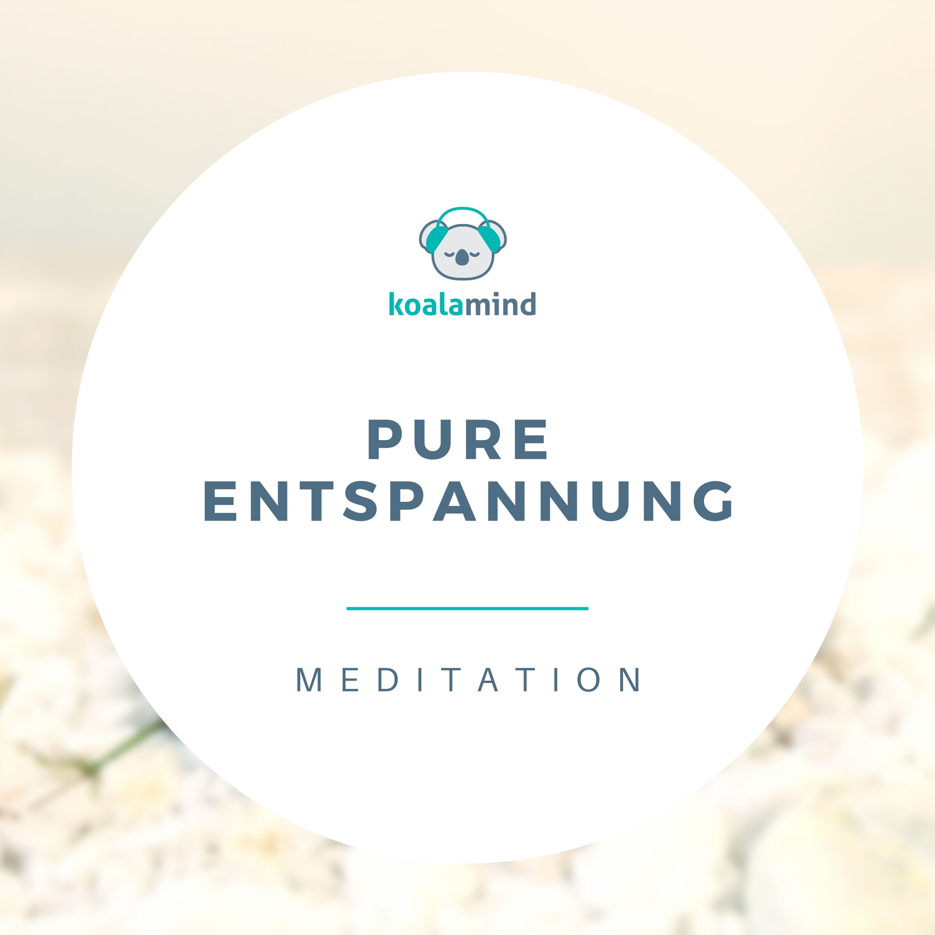 Koala Mind - Meditation & Achtsamkeit