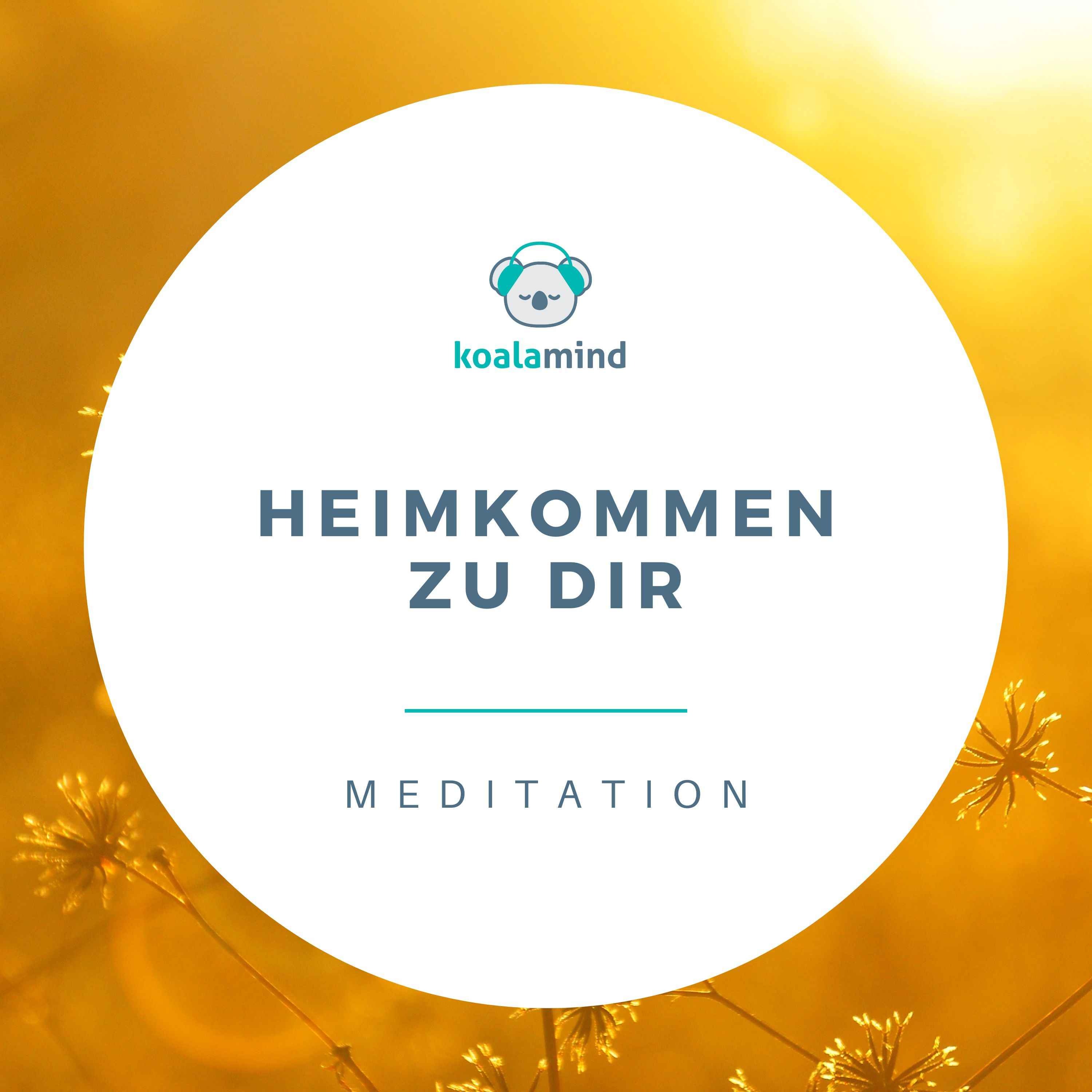 Koala Mind - Meditation & Achtsamkeit