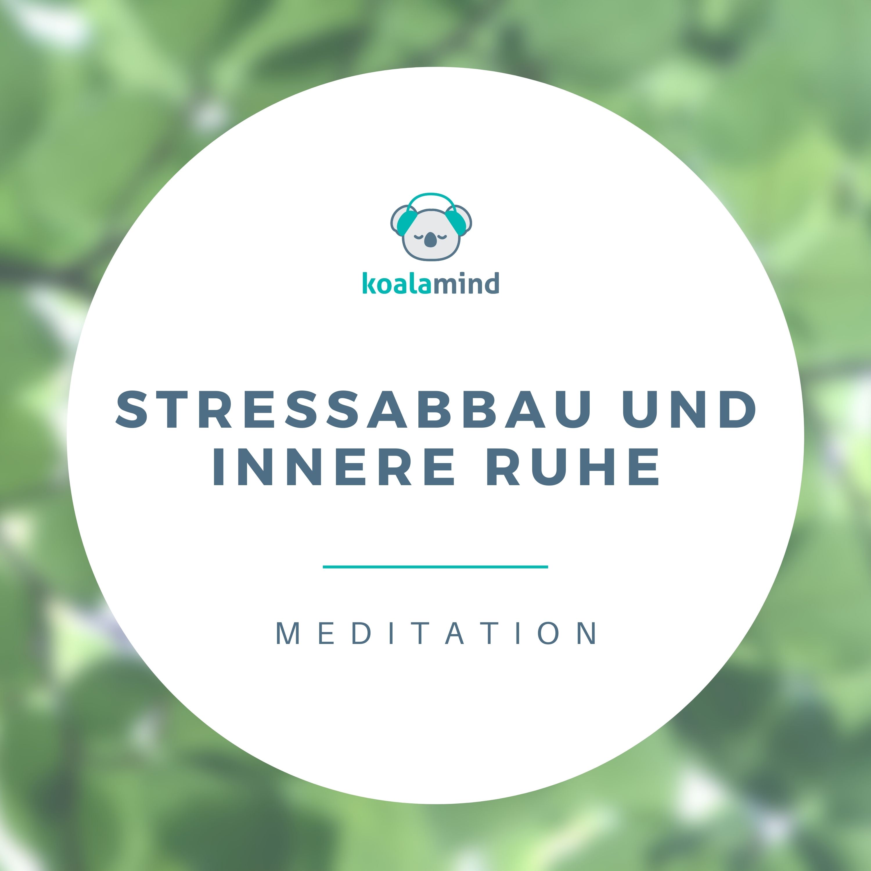 Koala Mind - Meditation & Achtsamkeit