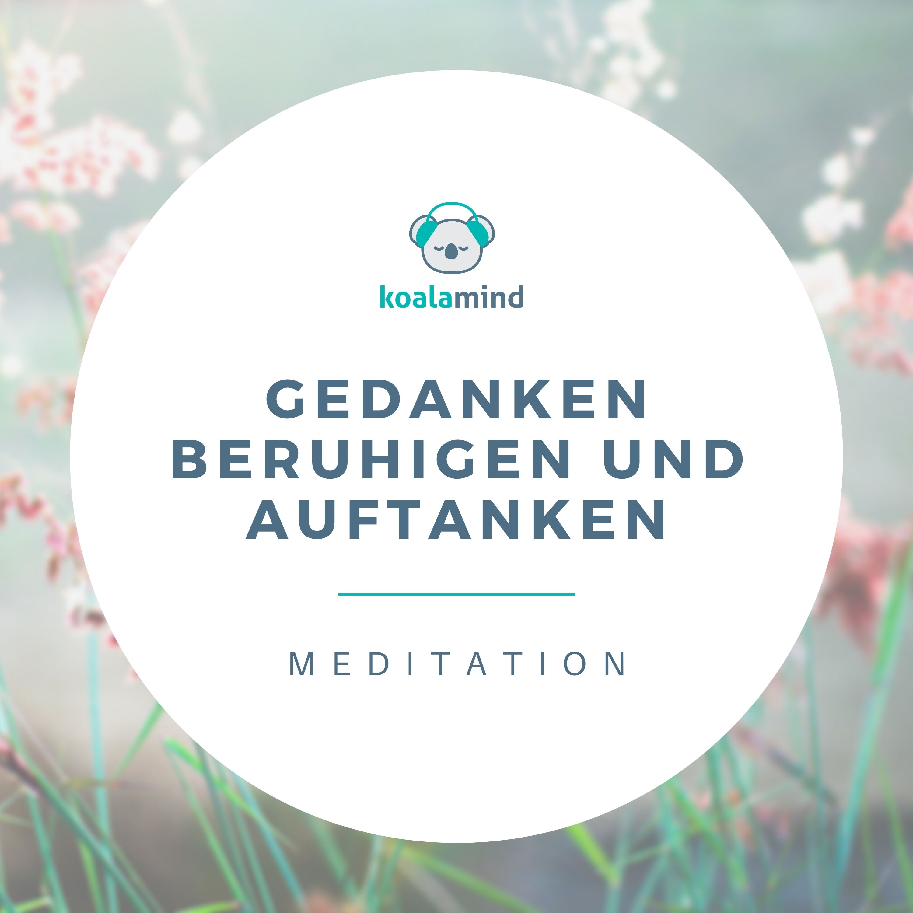Koala Mind - Meditation & Achtsamkeit