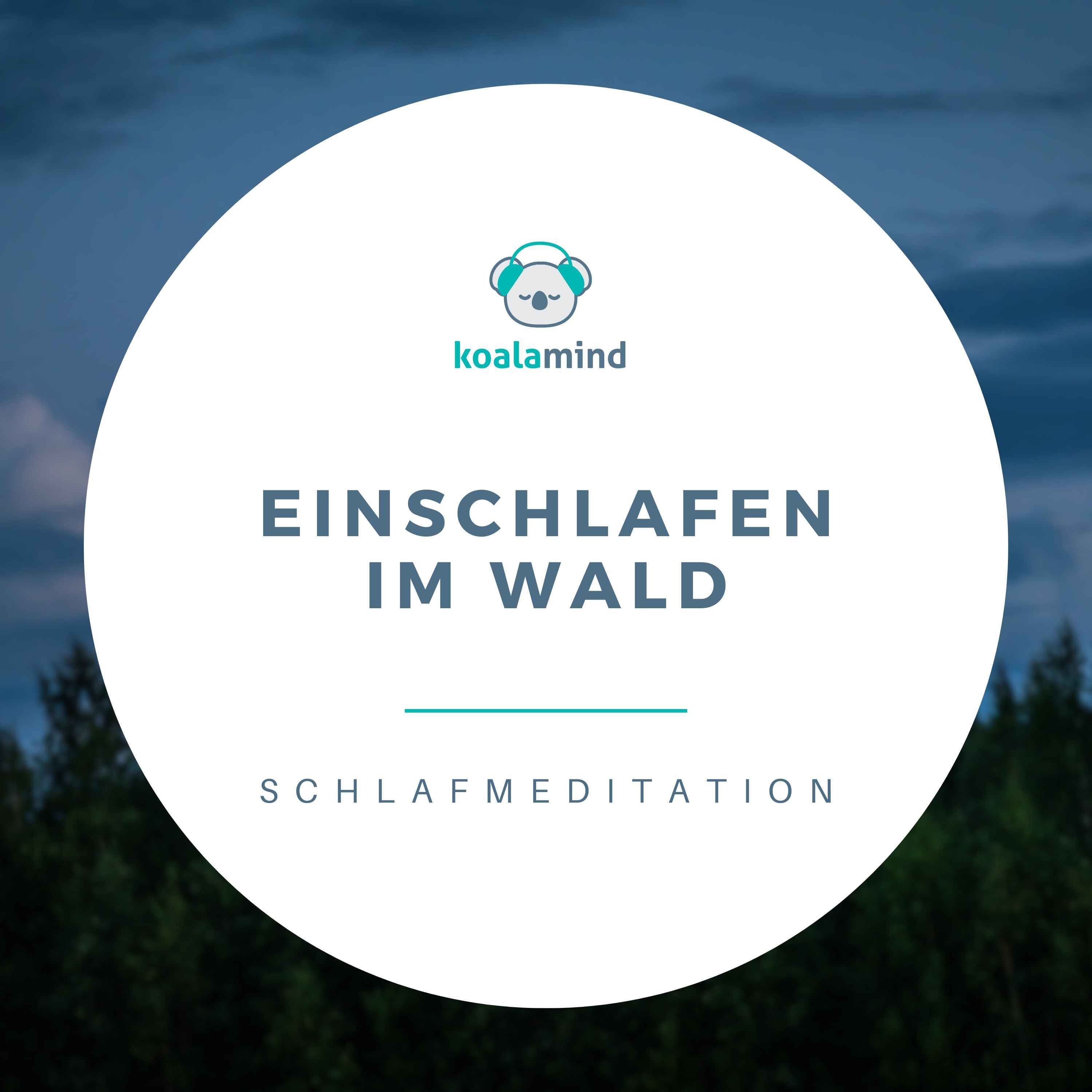 Einschlafmeditation: Einschlafen im Wald