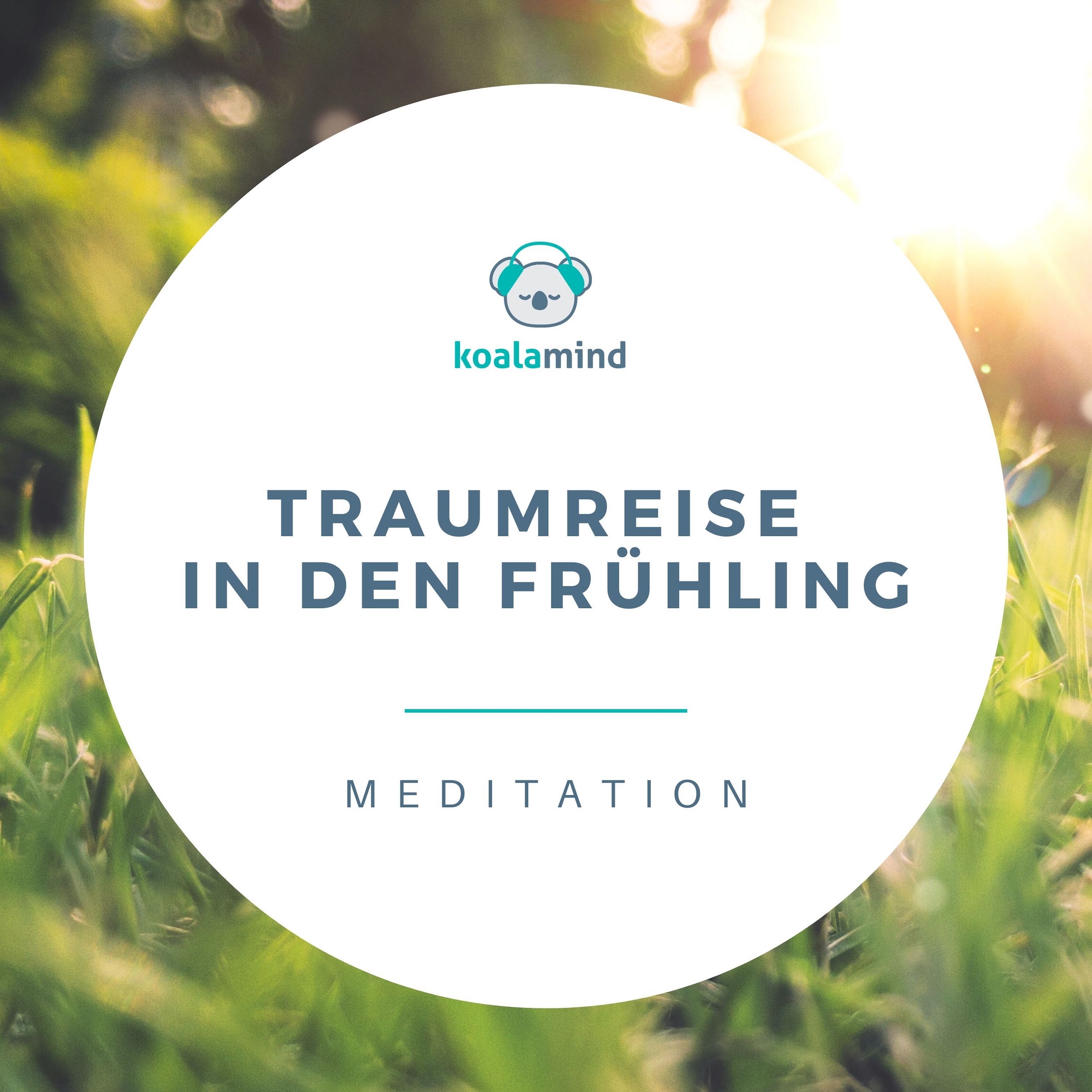 Koala Mind - Meditation & Achtsamkeit