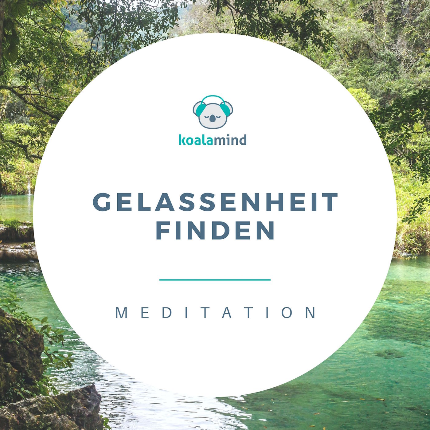 Koala Mind - Meditation & Achtsamkeit