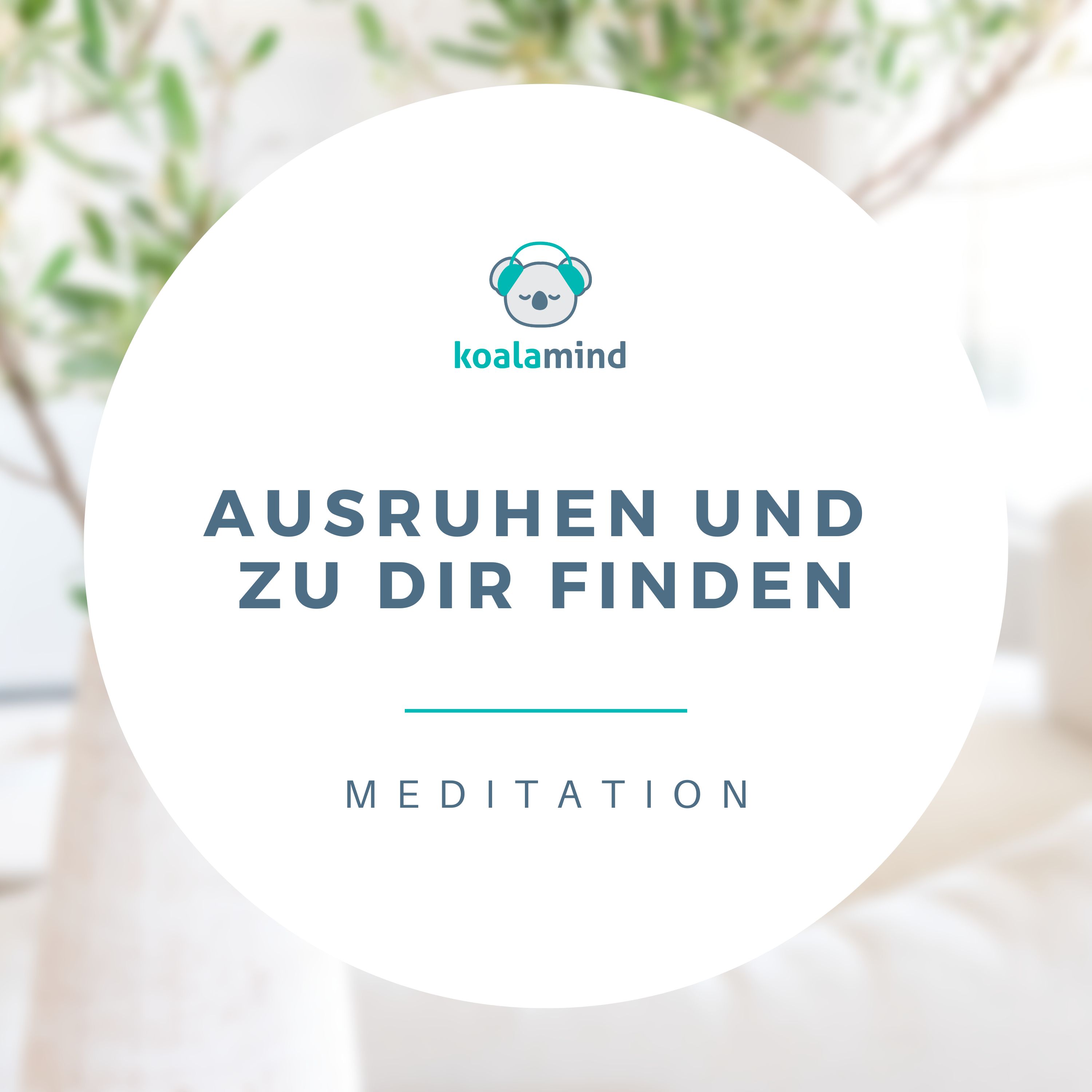 Koala Mind - Meditation & Achtsamkeit