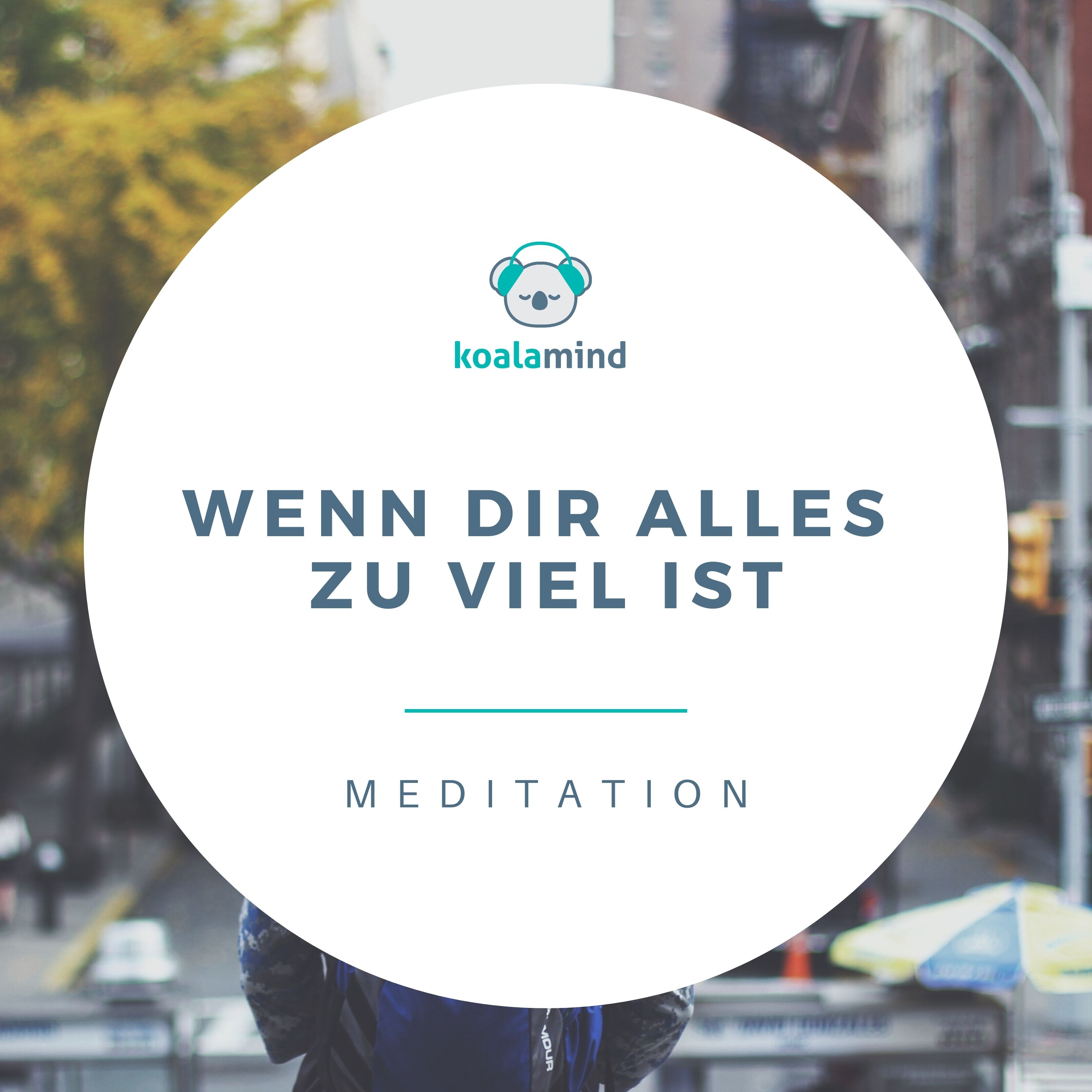 Koala Mind - Meditation & Achtsamkeit