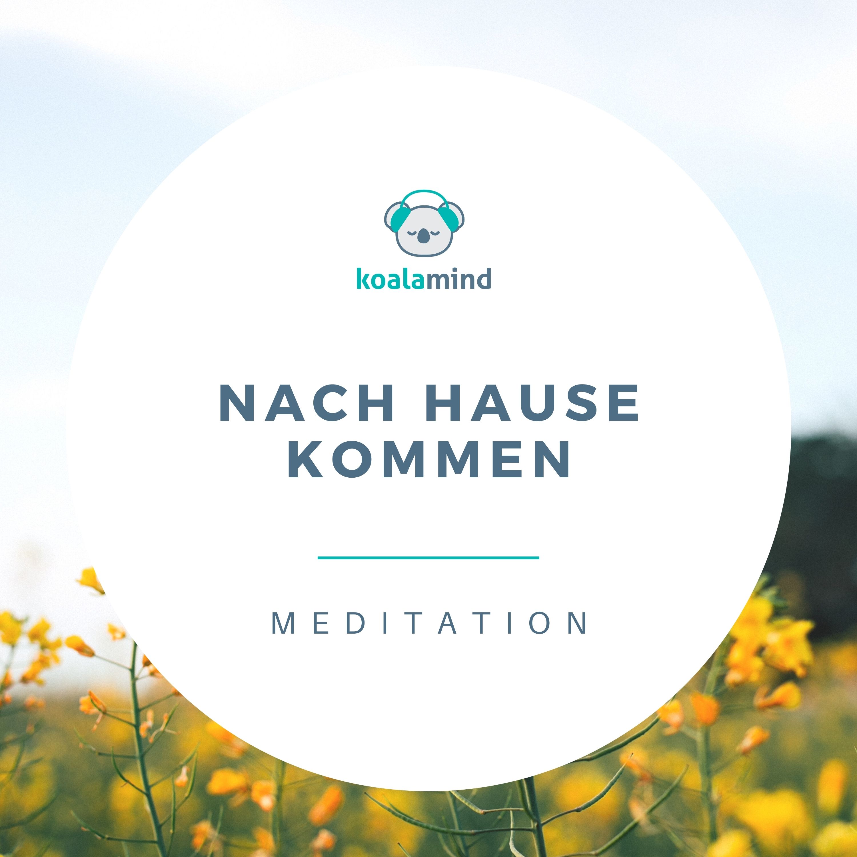 Koala Mind - Meditation & Achtsamkeit