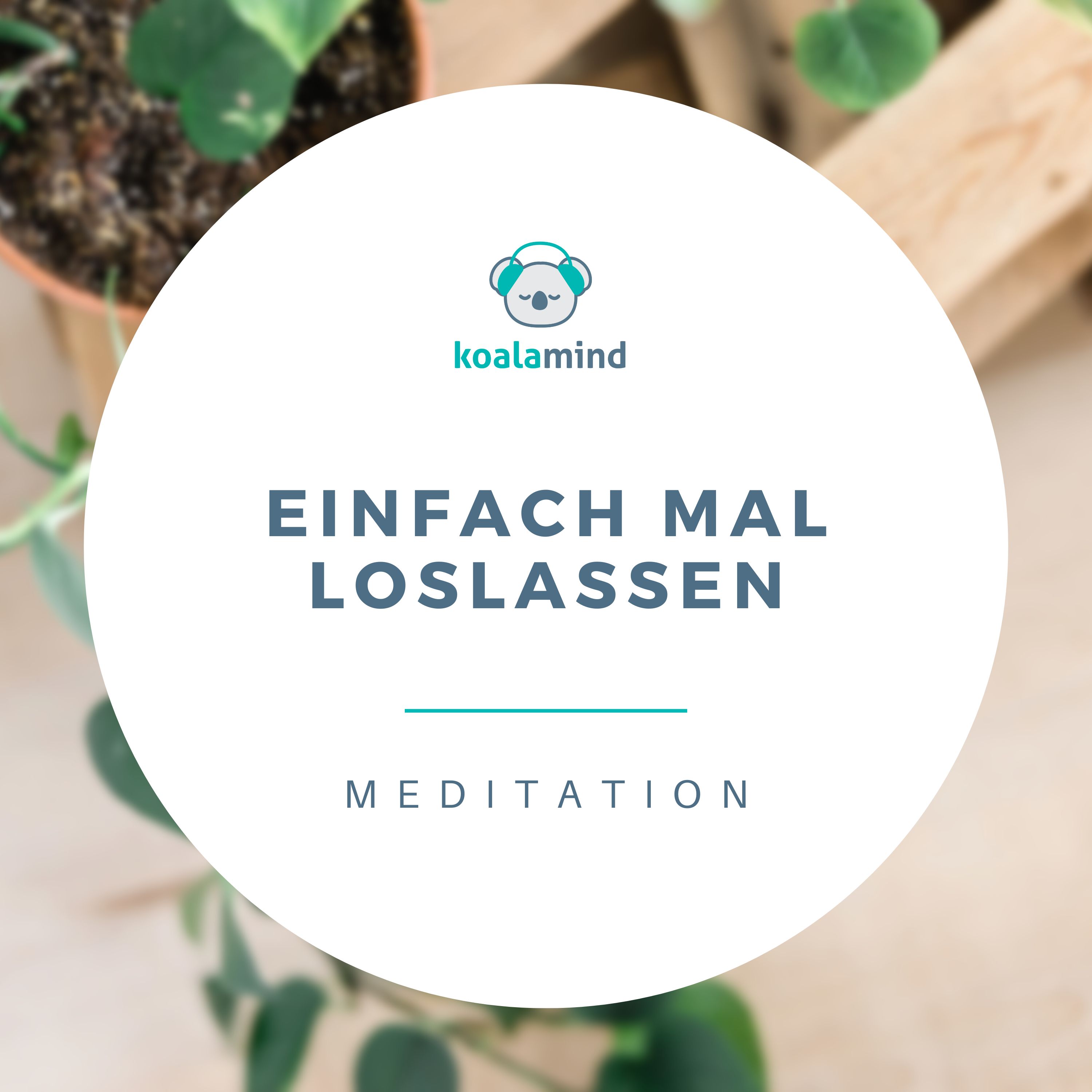 Koala Mind - Meditation & Achtsamkeit