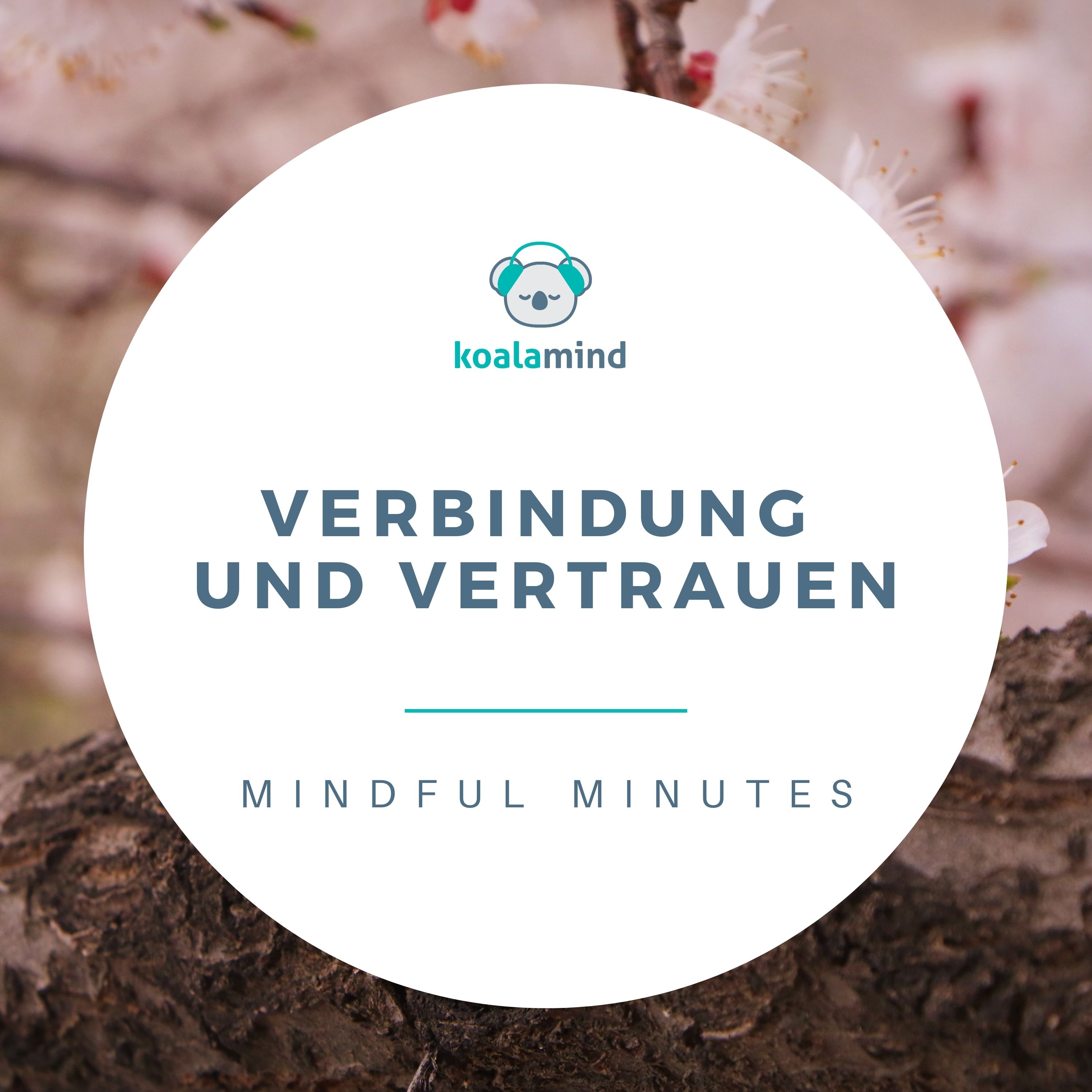 Koala Mind - Meditation & Achtsamkeit
