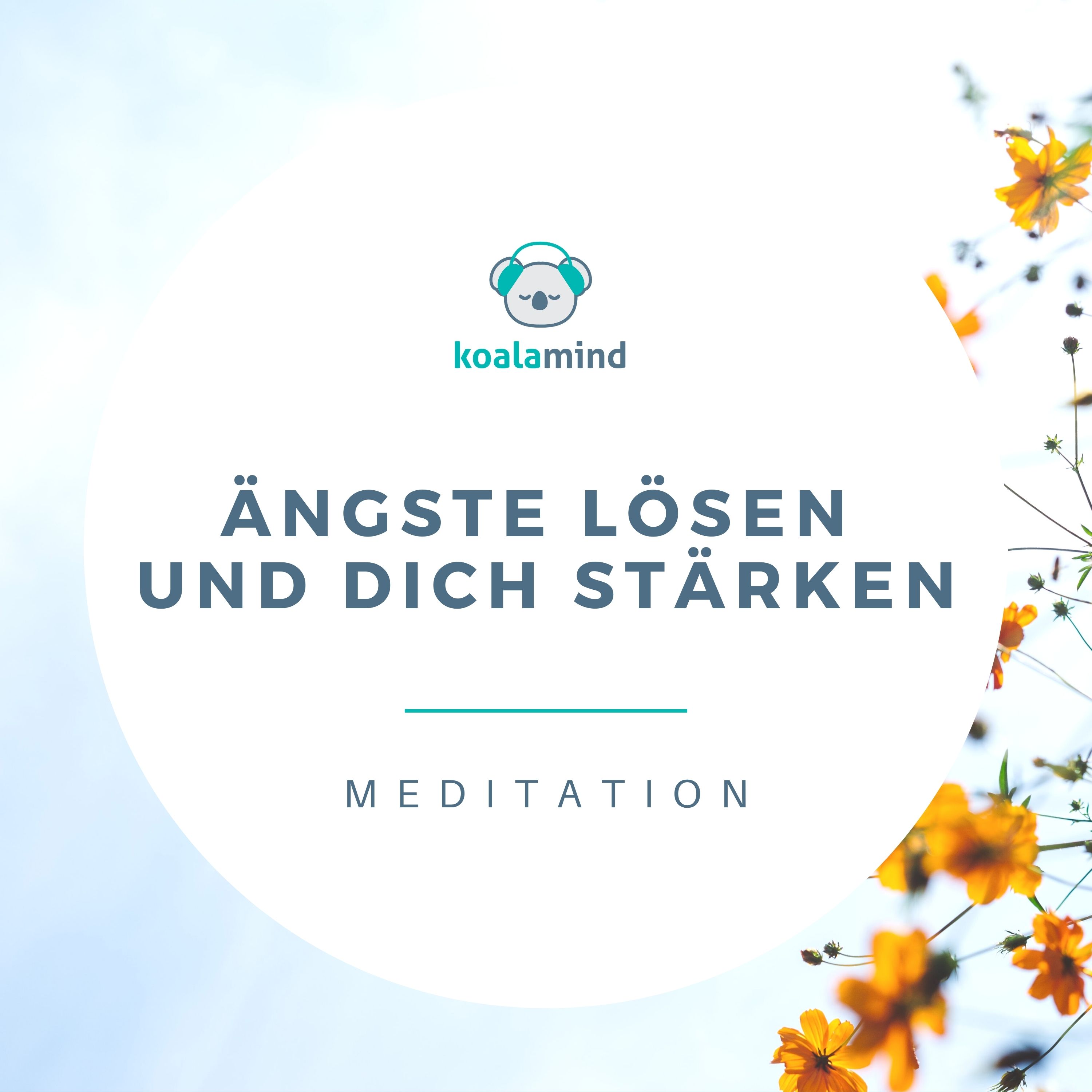 Koala Mind - Meditation & Achtsamkeit
