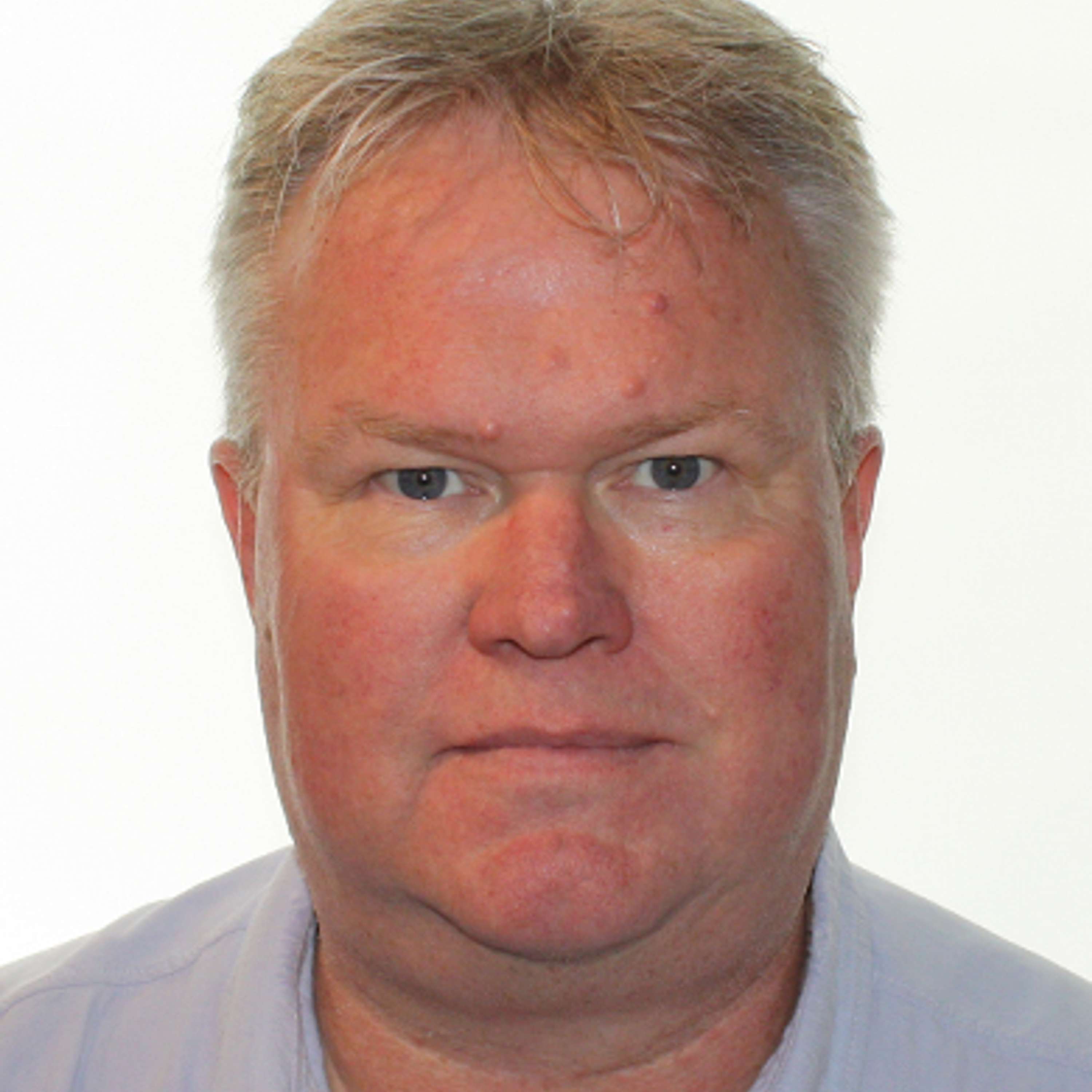 Gjensynsglede