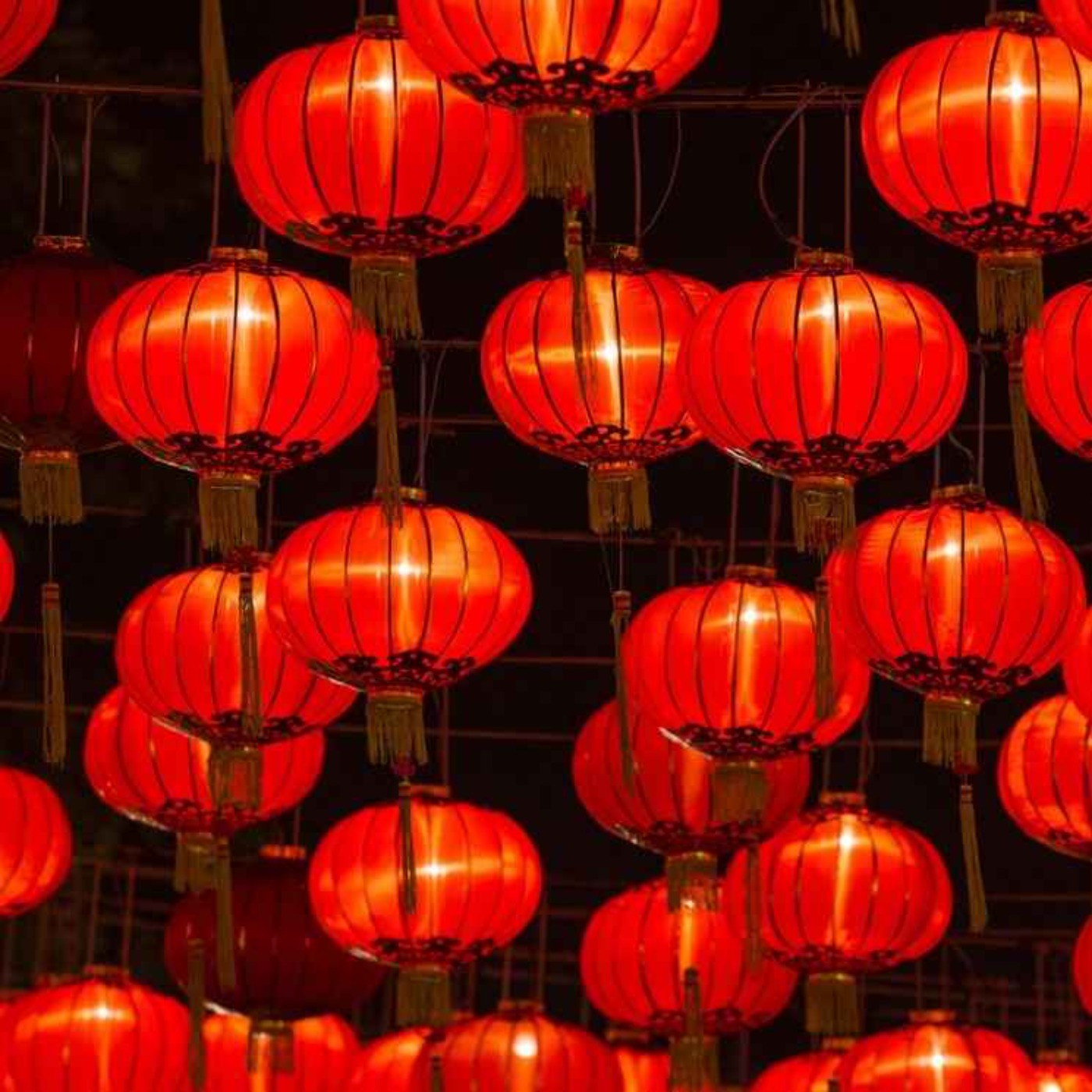 Bleu Nuit Astro Chinoise