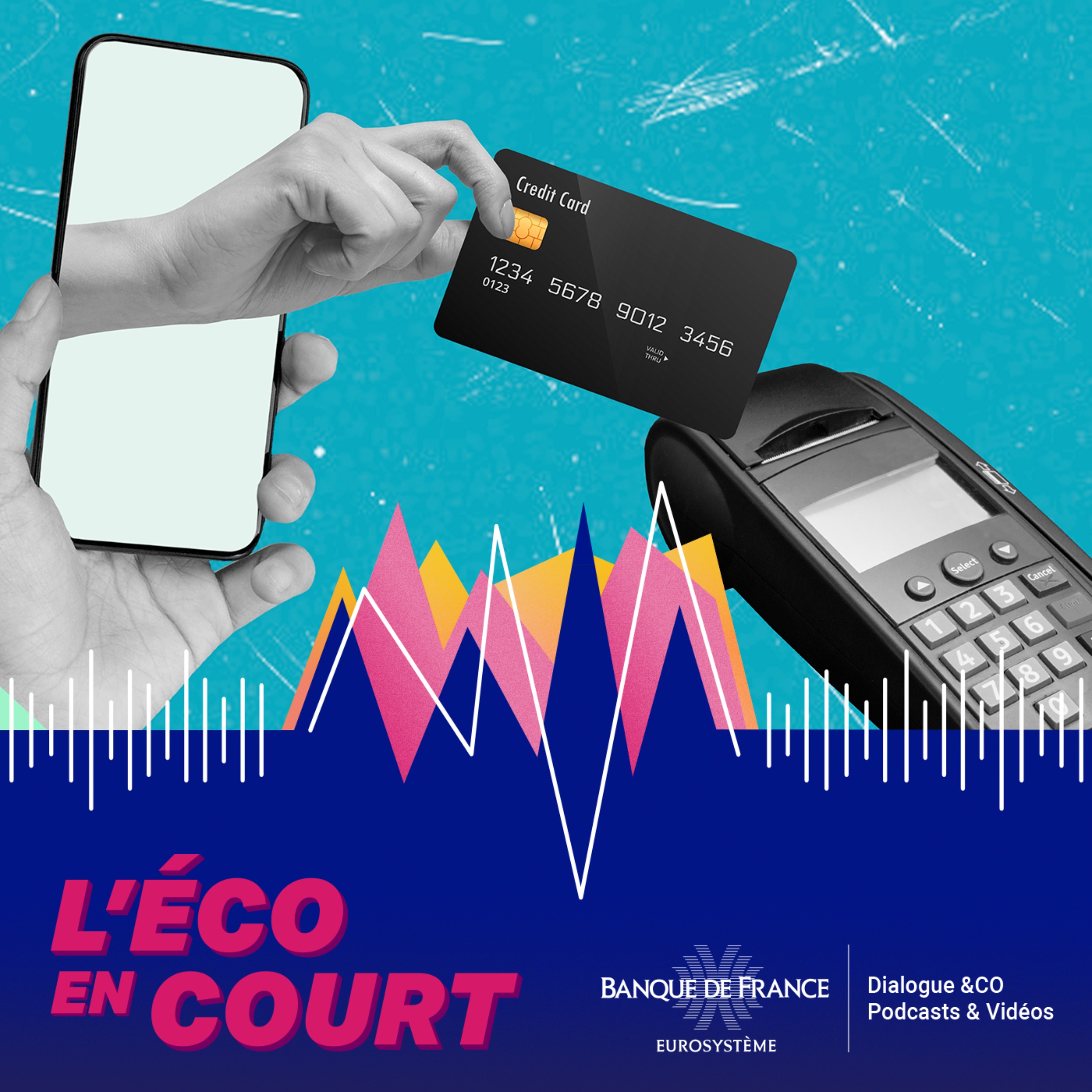 Les dessous des cartes... bancaires ! episode artwork