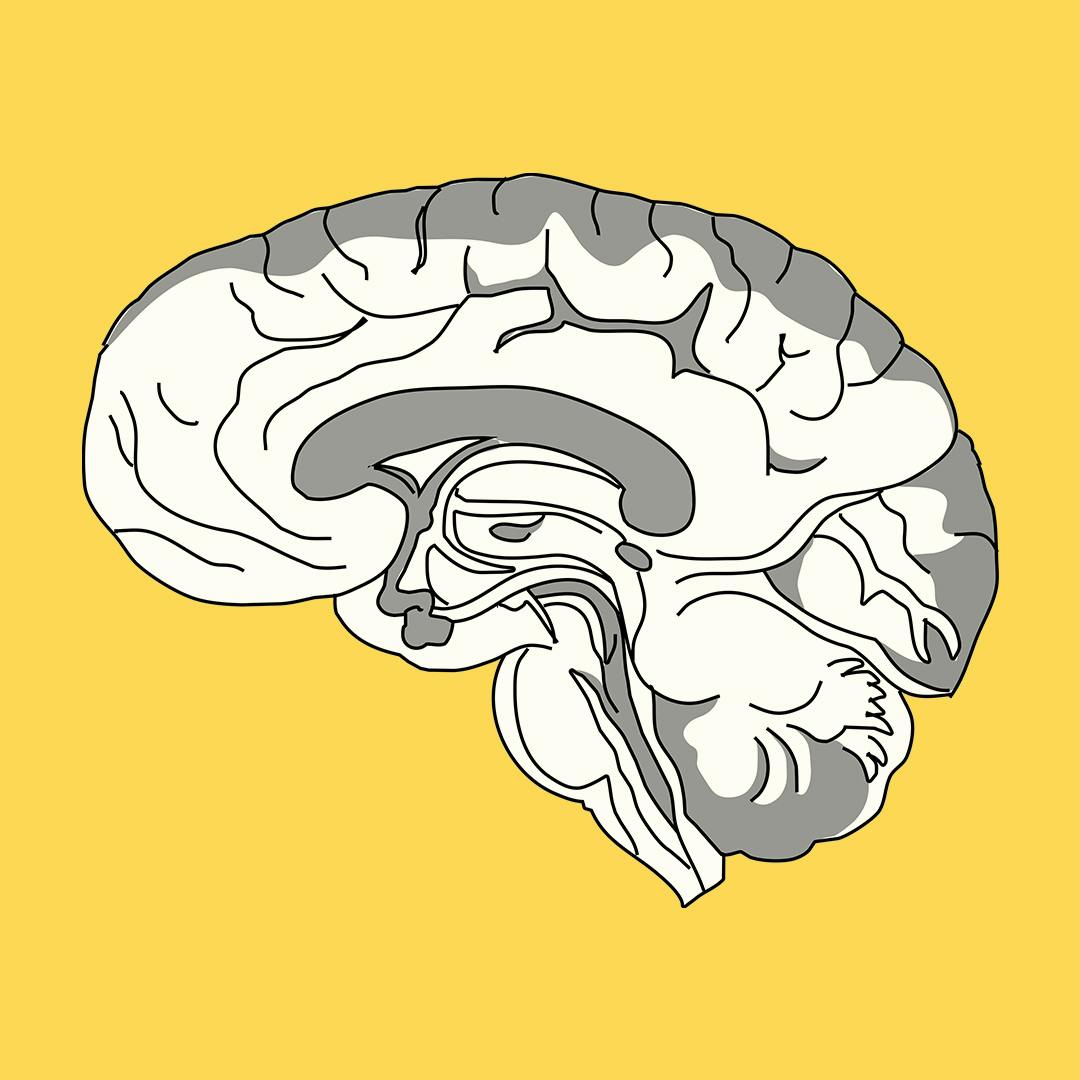Concussion, with Dr Chris Nowinski