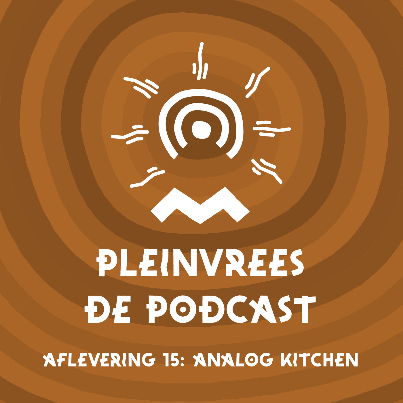 Pleinvrees de podcast - Aflevering 15 - Analog Kitchen