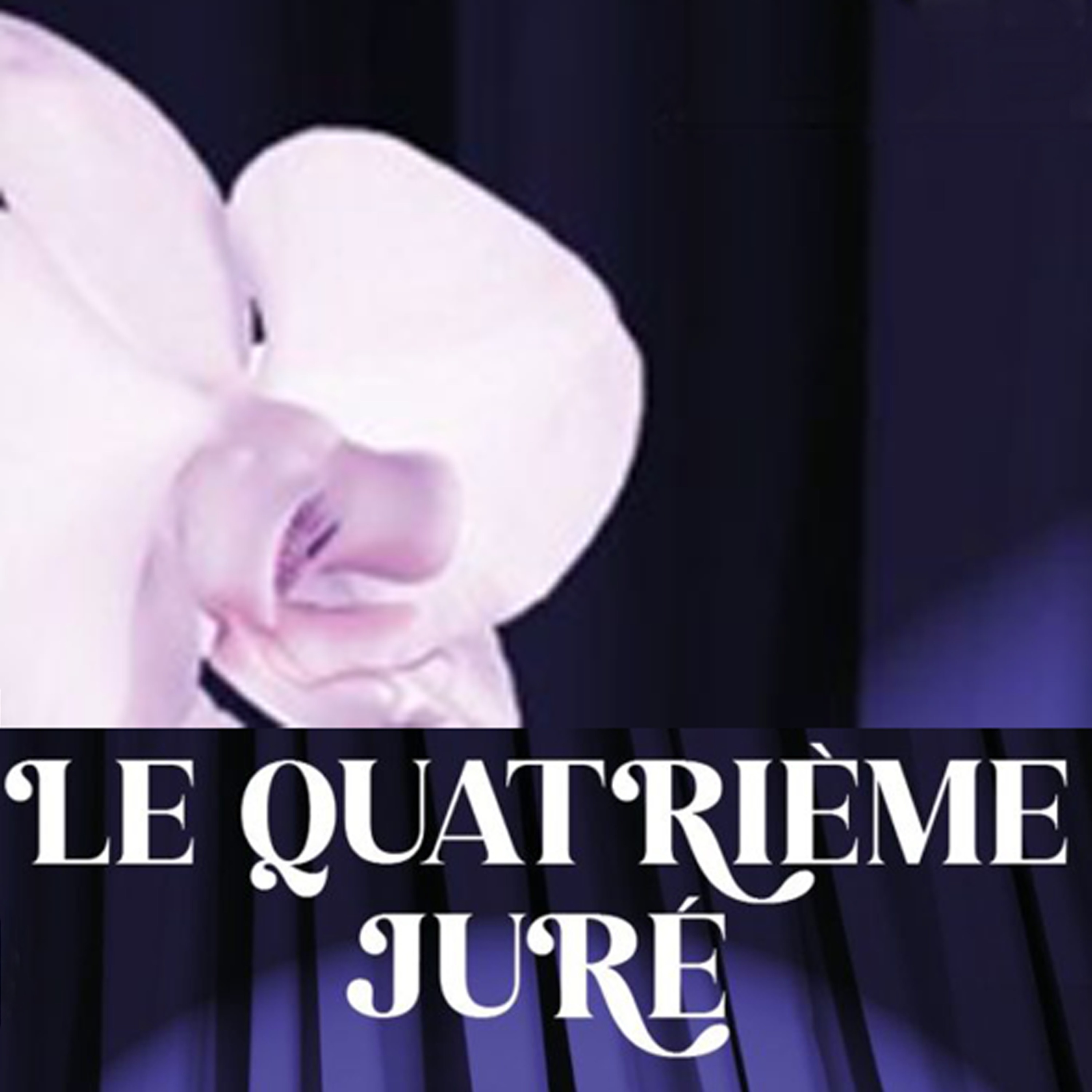 Le quatrième juré - Ep 2 episode artwork