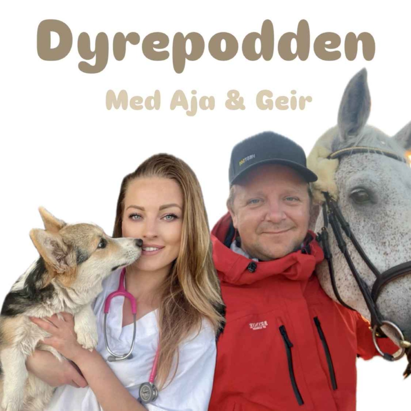 Dyrepodden