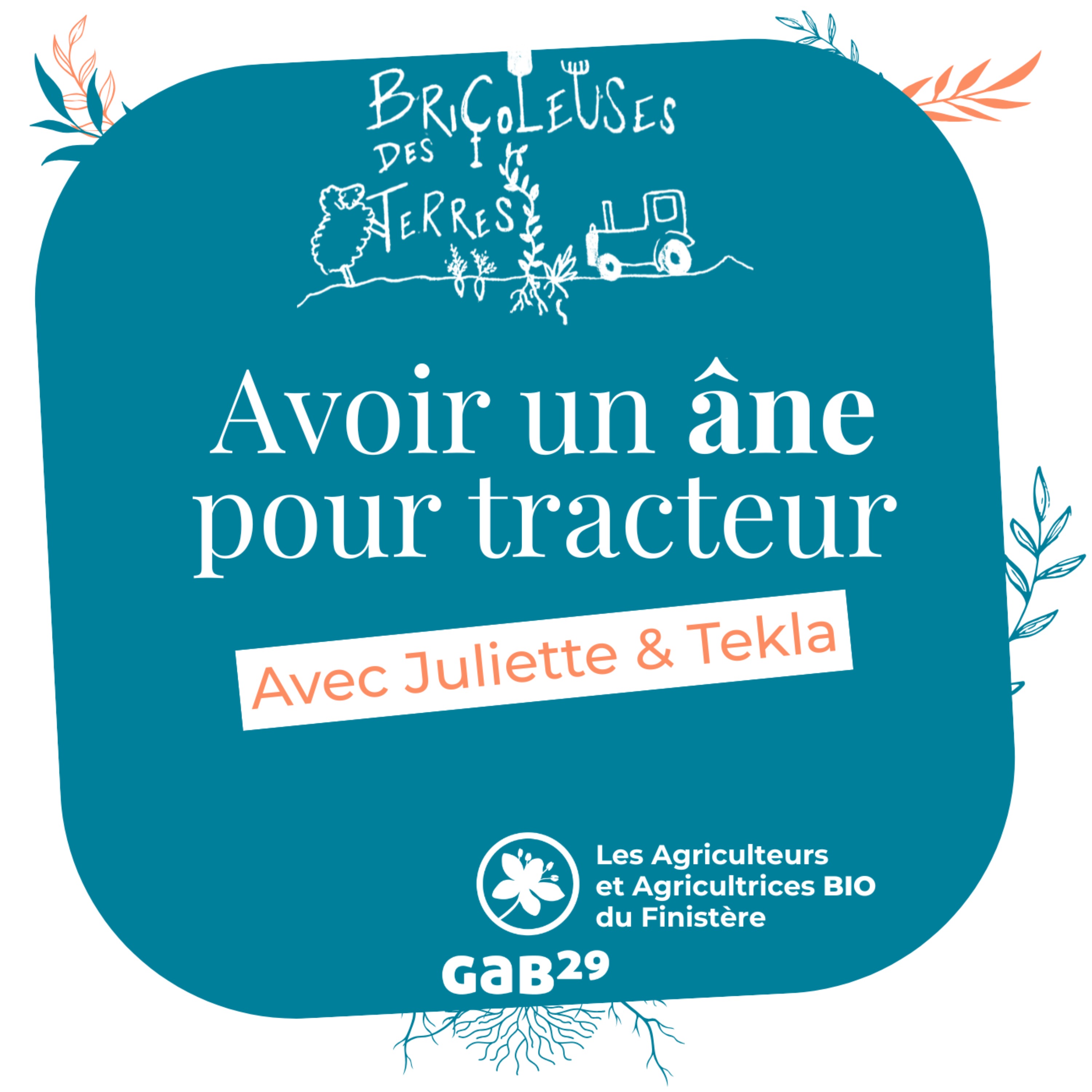 Avoir un âne pour tracteur