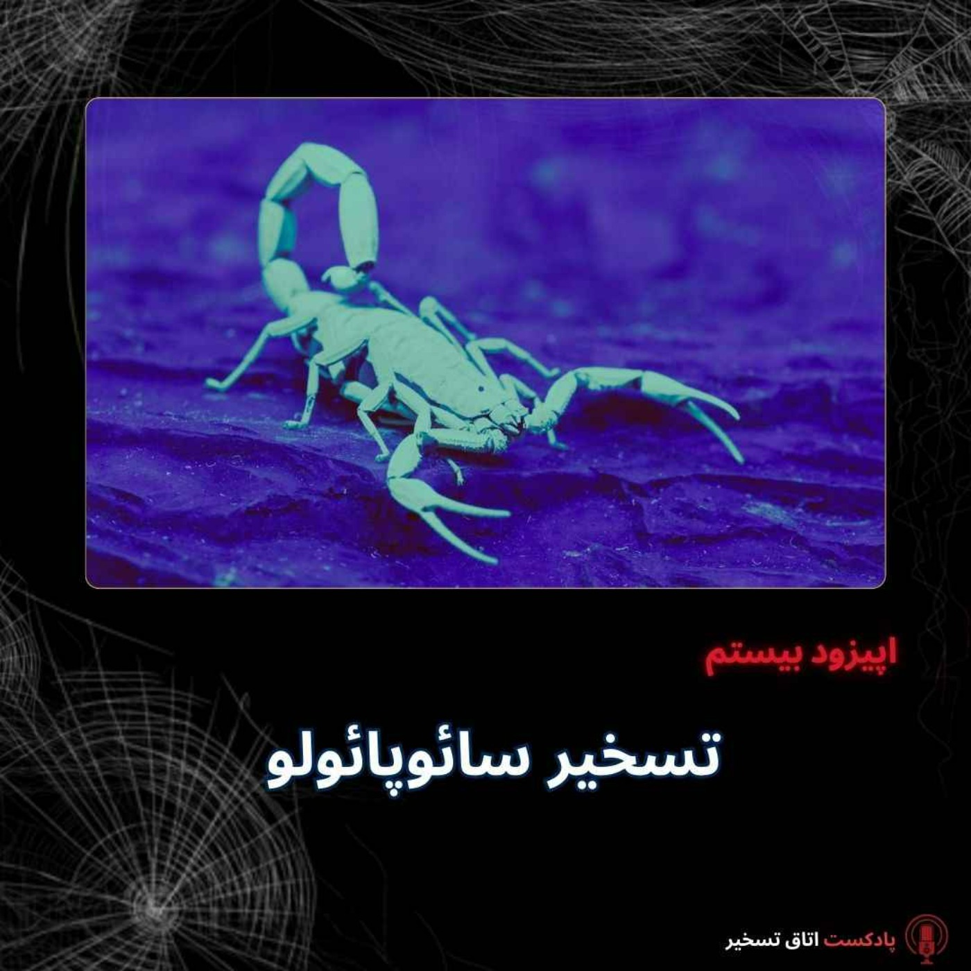 تسخیر سائوپائولو