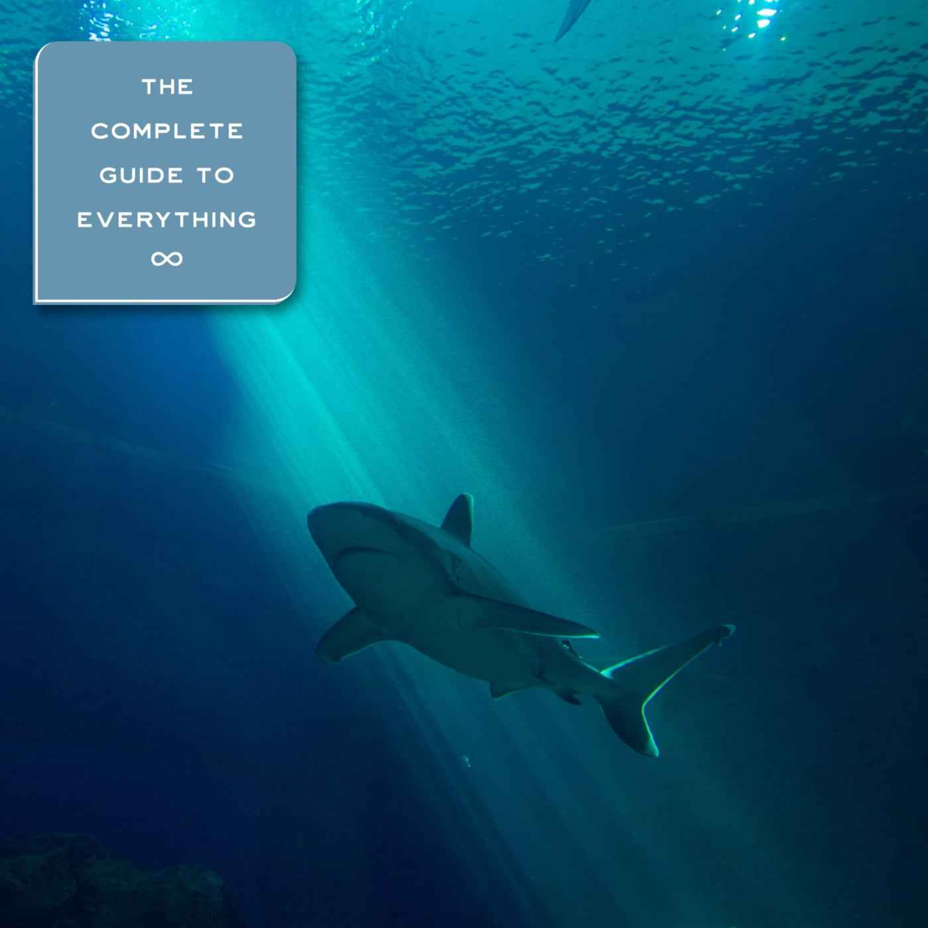 Sharks