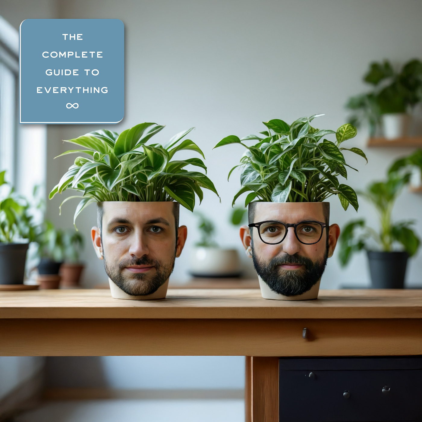 Houseplants