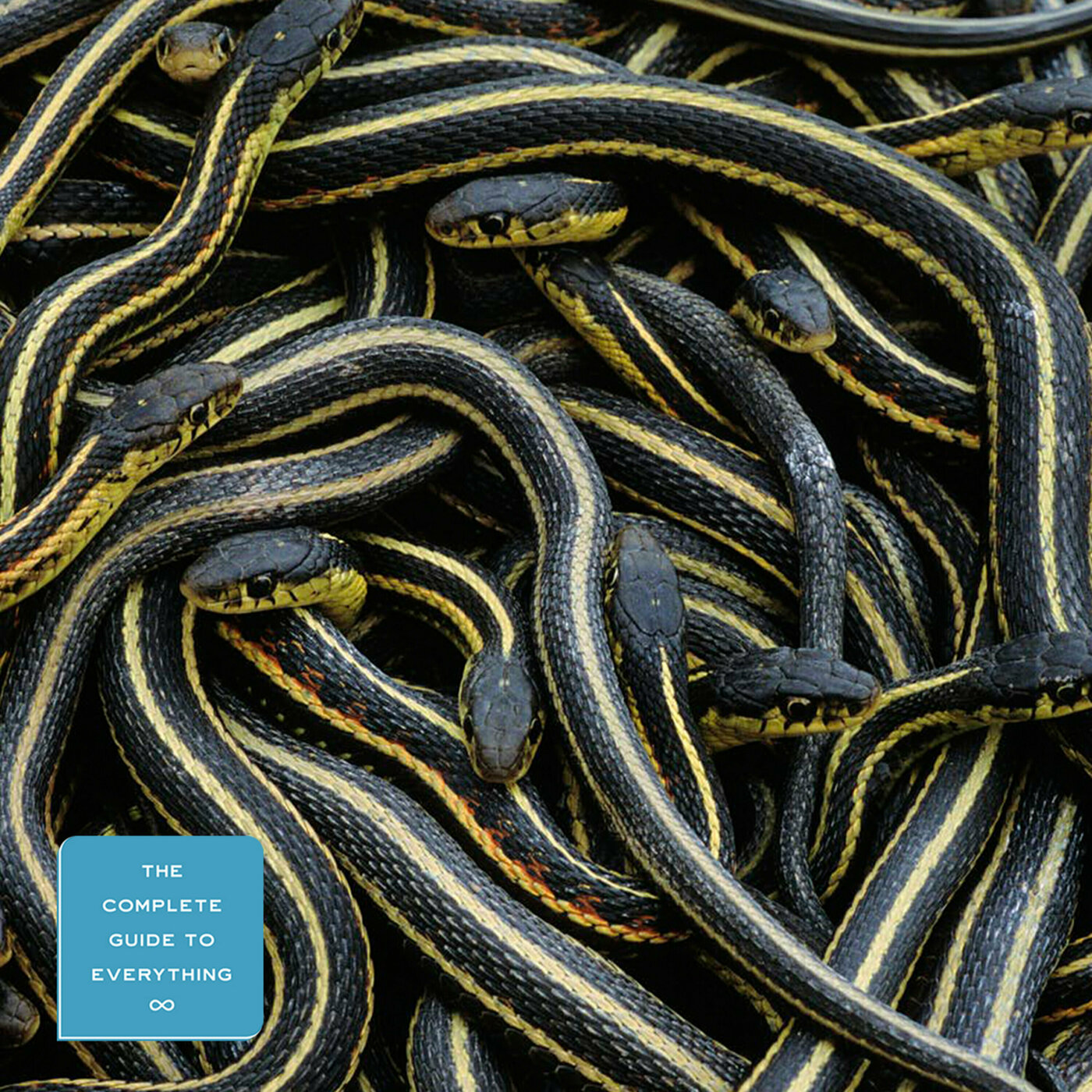 Snakes