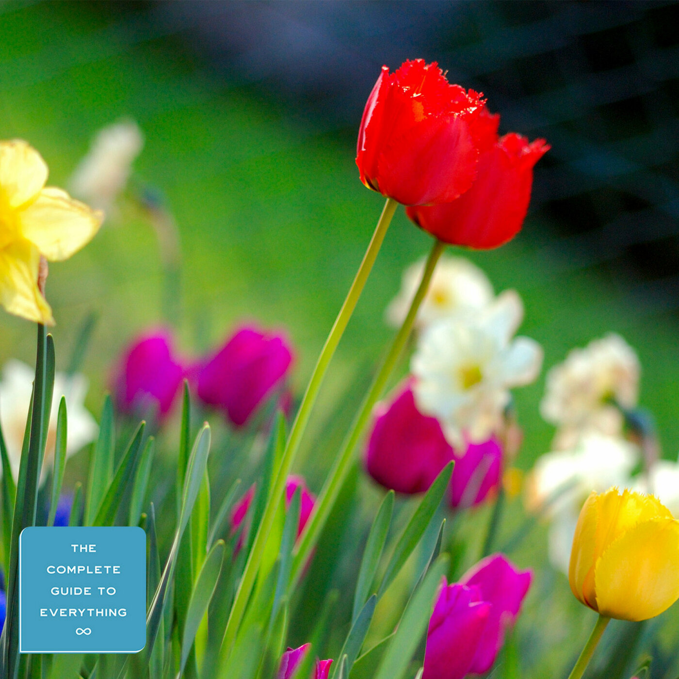 Spring