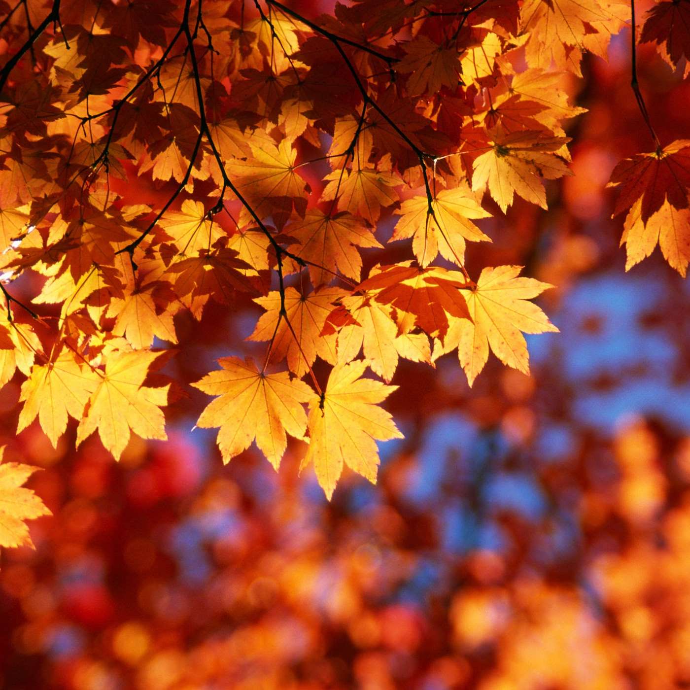 Episode 144: Mindfully Moving into Fall