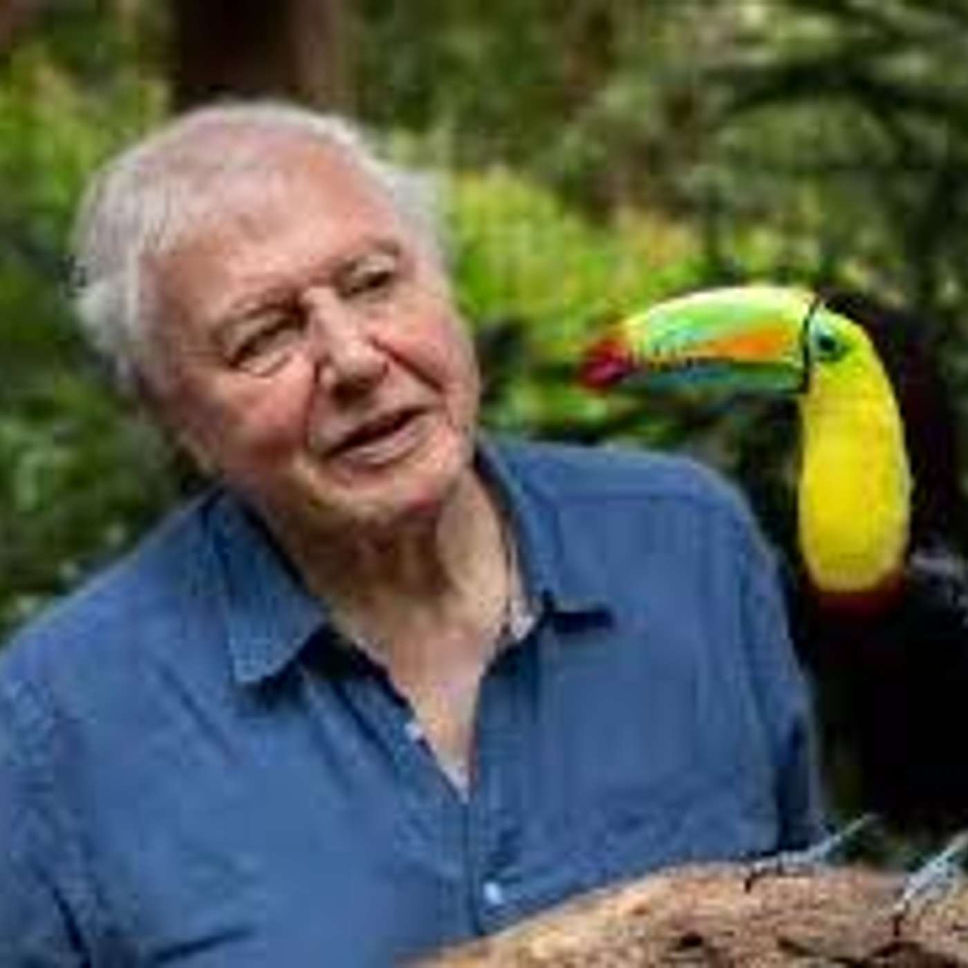 Episode 117: The Voice of Nature - David Attenborough