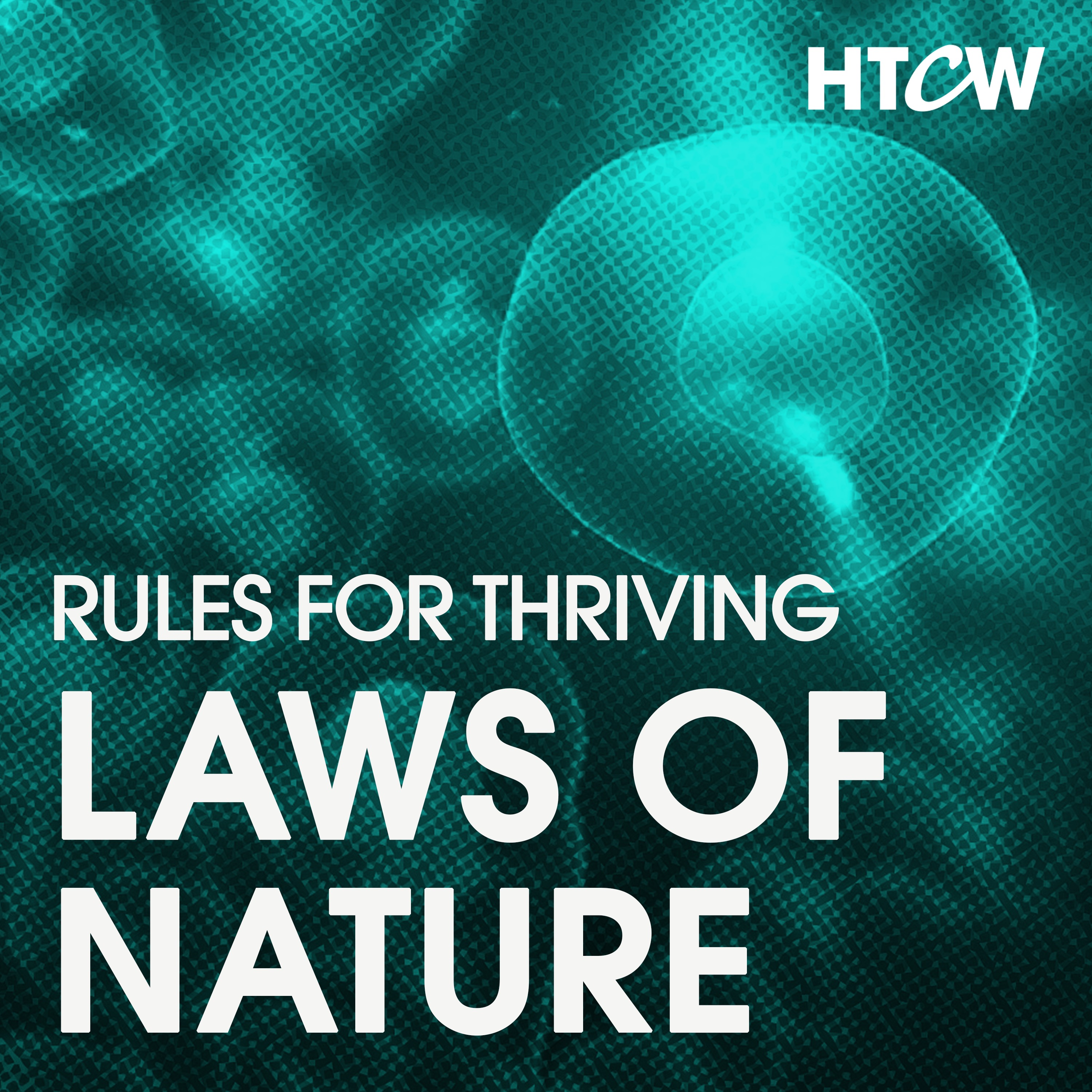 The Laws of Nature: 3 Rules Governing the Success of Any Organism, Idea & Technology