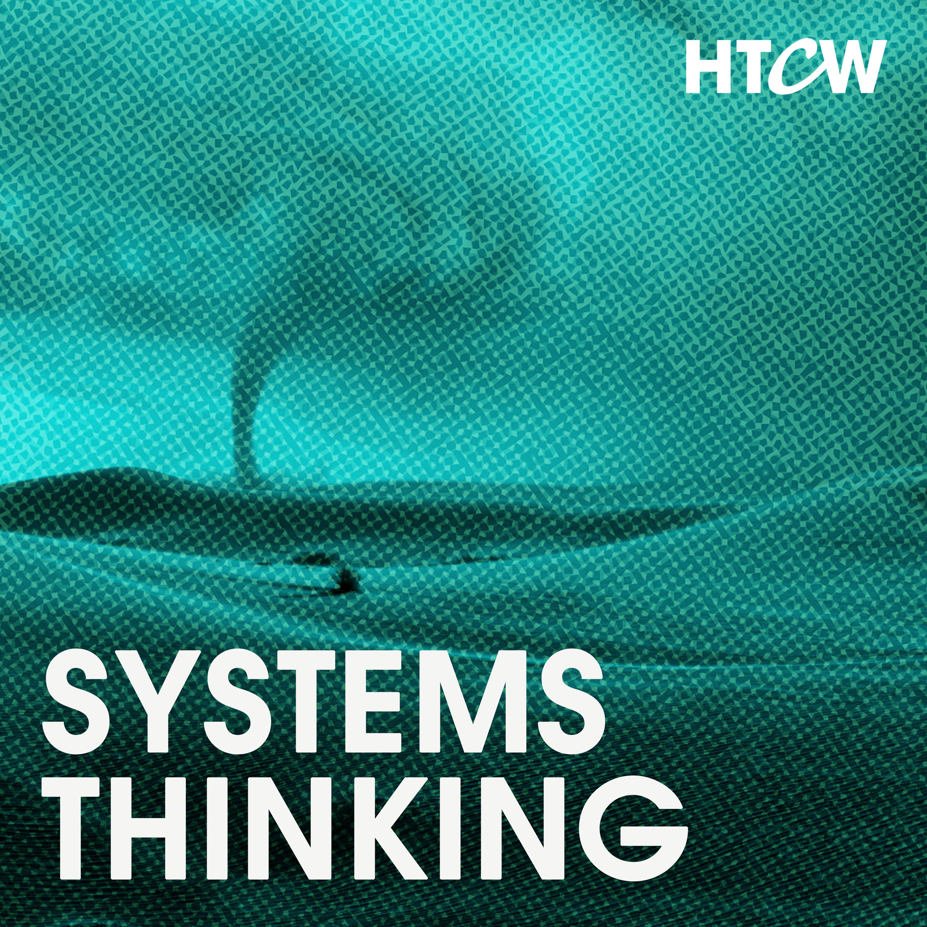 Systems Thinking: How to Dance with Chaos and Build Hope in a Changing World